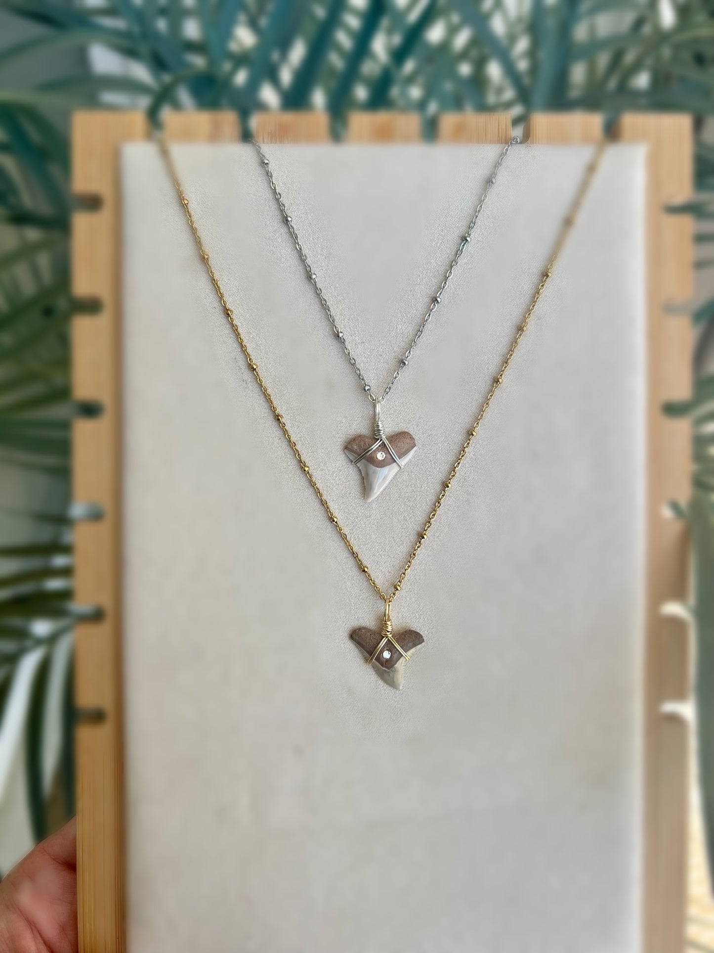 Bull Shark Tooth with Crystal