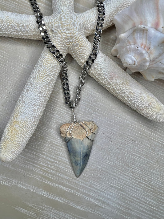 1.7” Icy Blue Mako