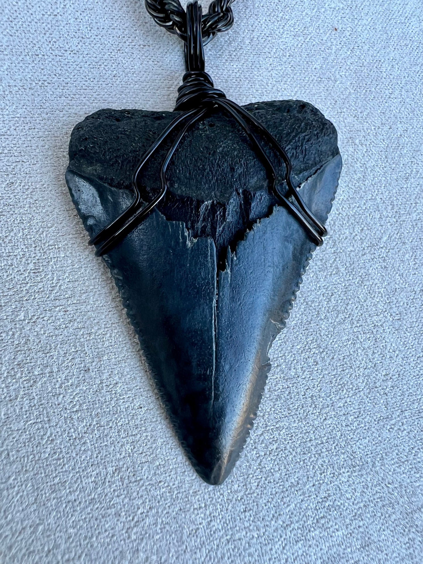 Jaws-1.9” Great White