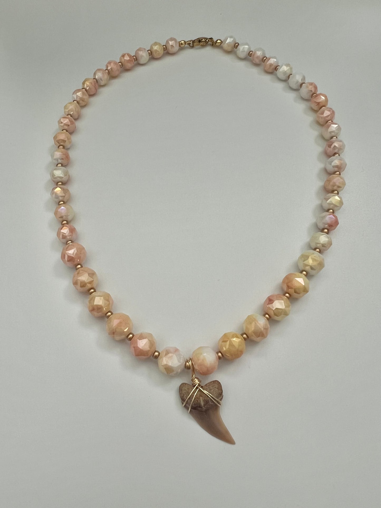 Sorbet Planus Shark Tooth Necklace with Crystal Beads