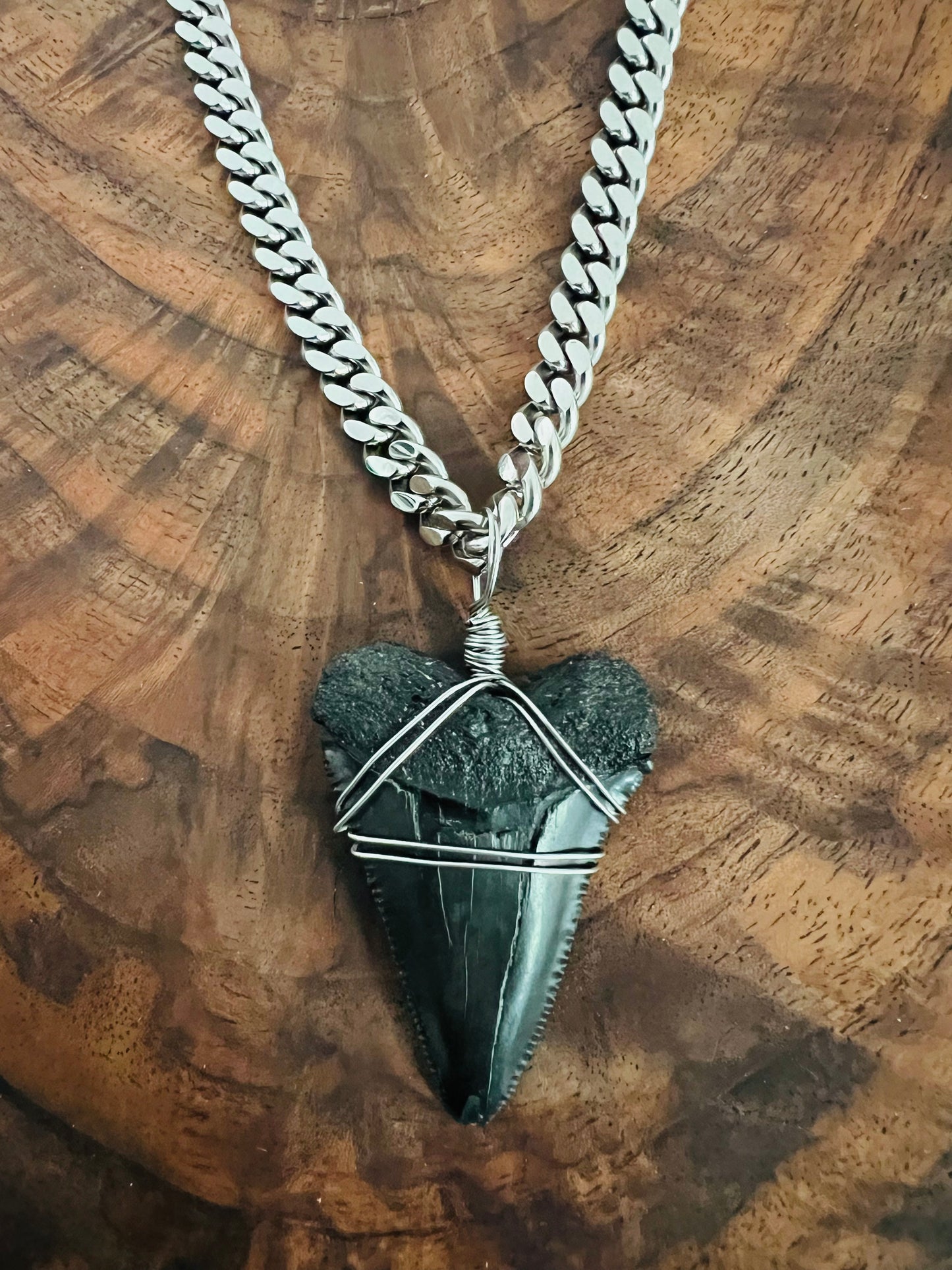 Jaws- Huge 2” Great White