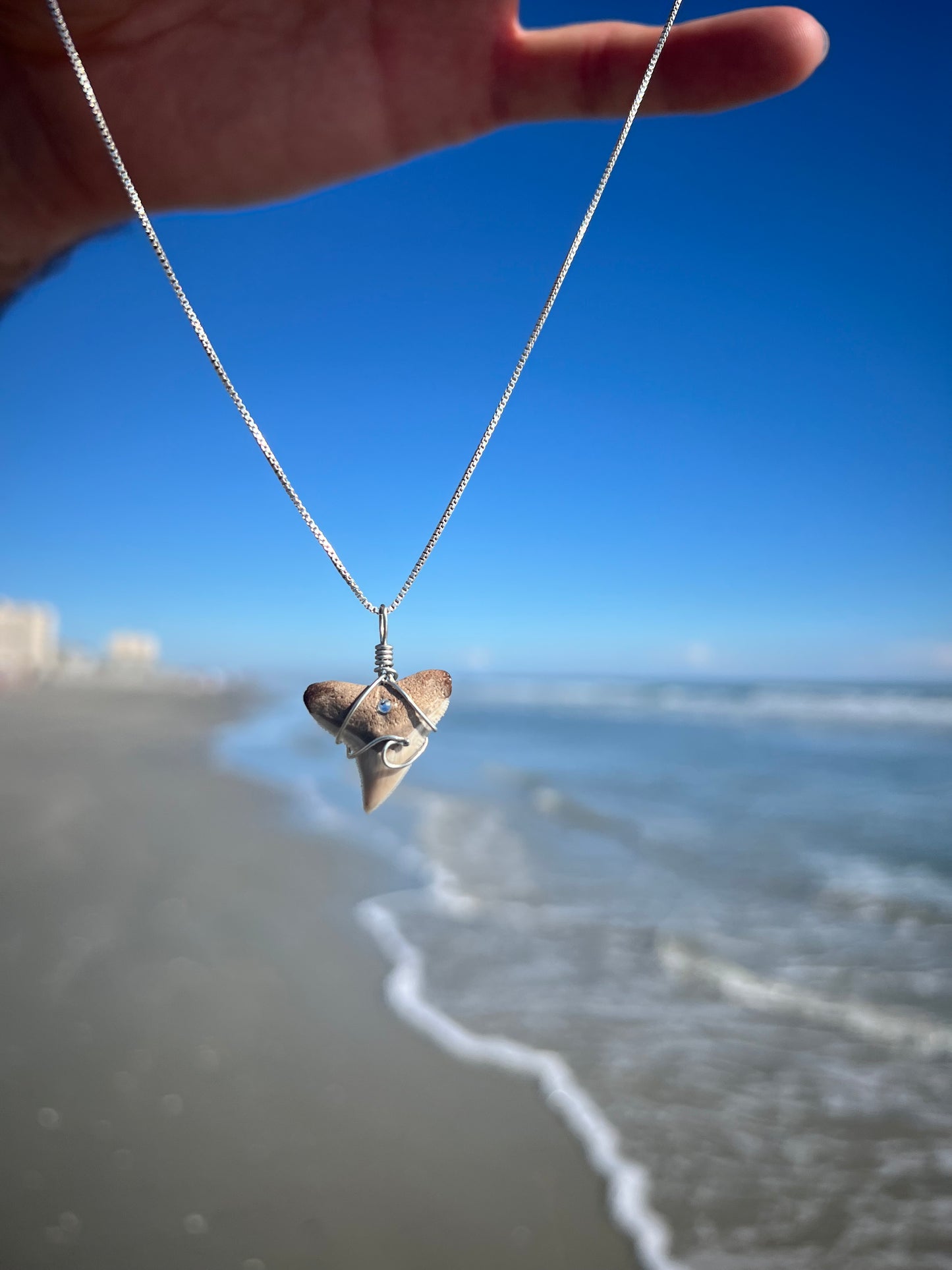 Coastal Dreams- Bull Shark Tooth + Crystal + Wave Design