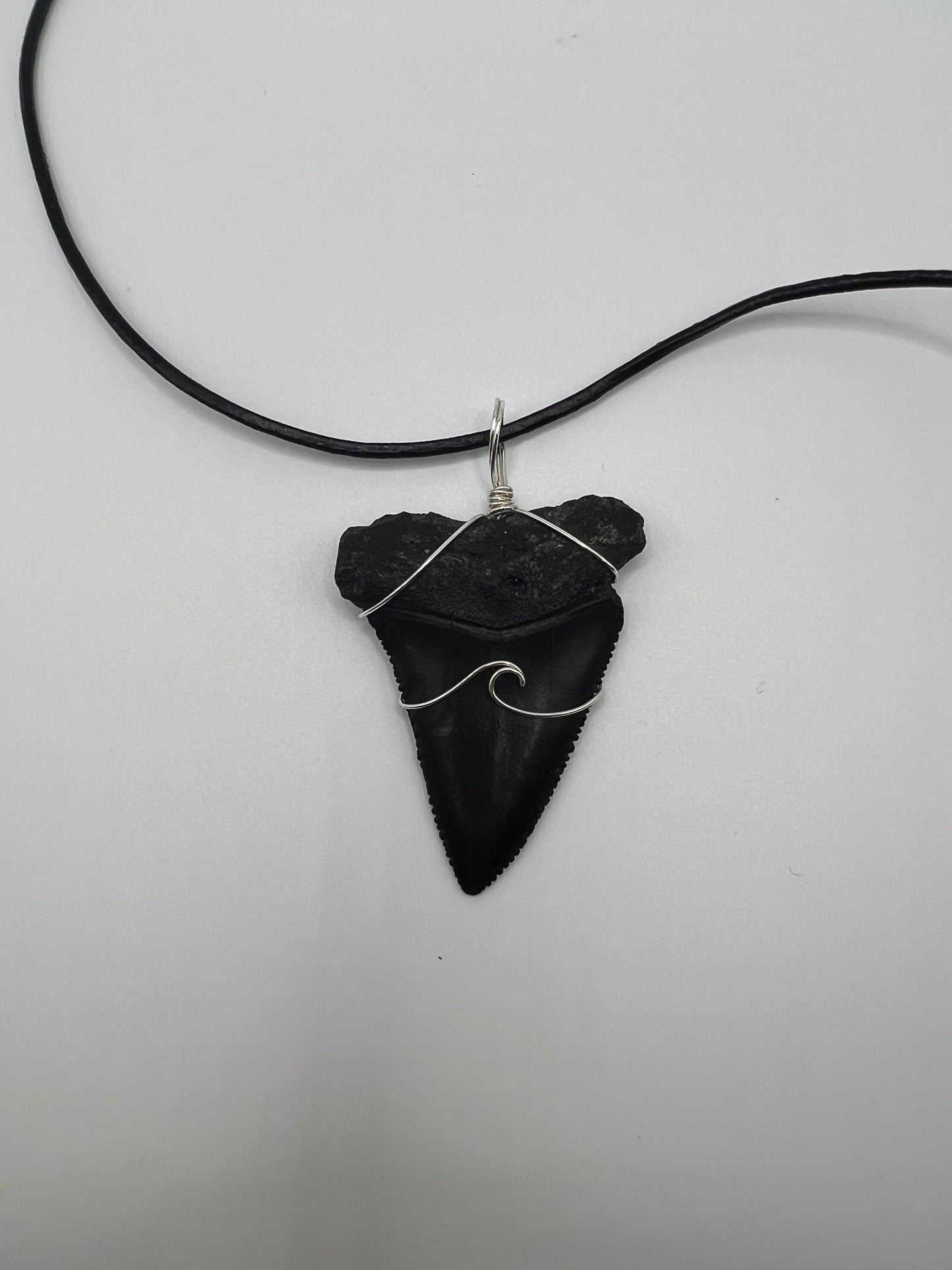 2.1” Huge Fossilized Great White Shark Tooth Necklace
