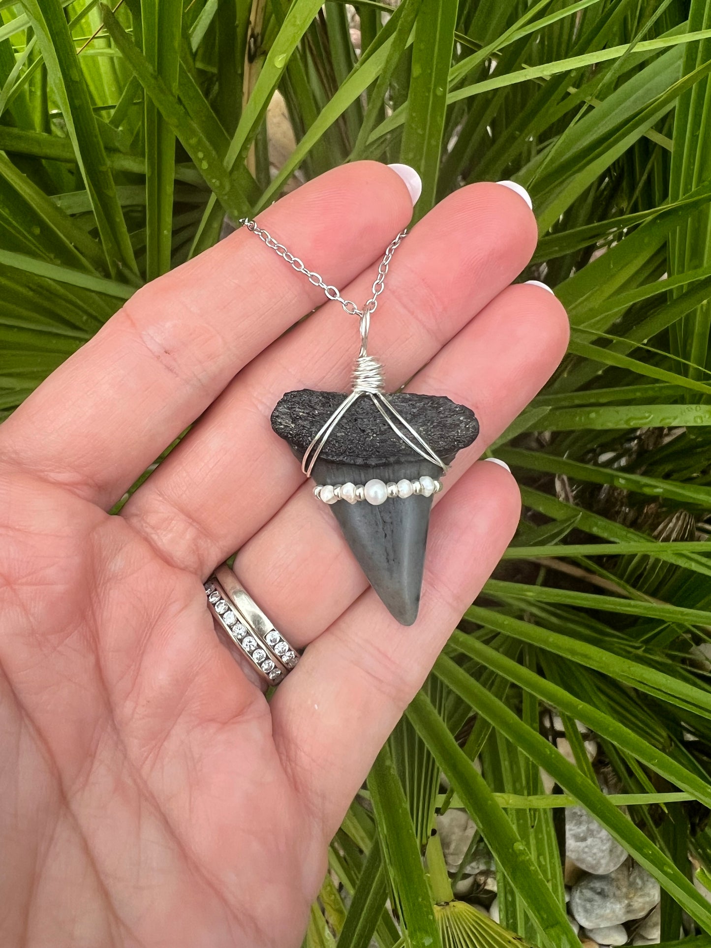 Unique Shark tooth necklace with freshwater pearls