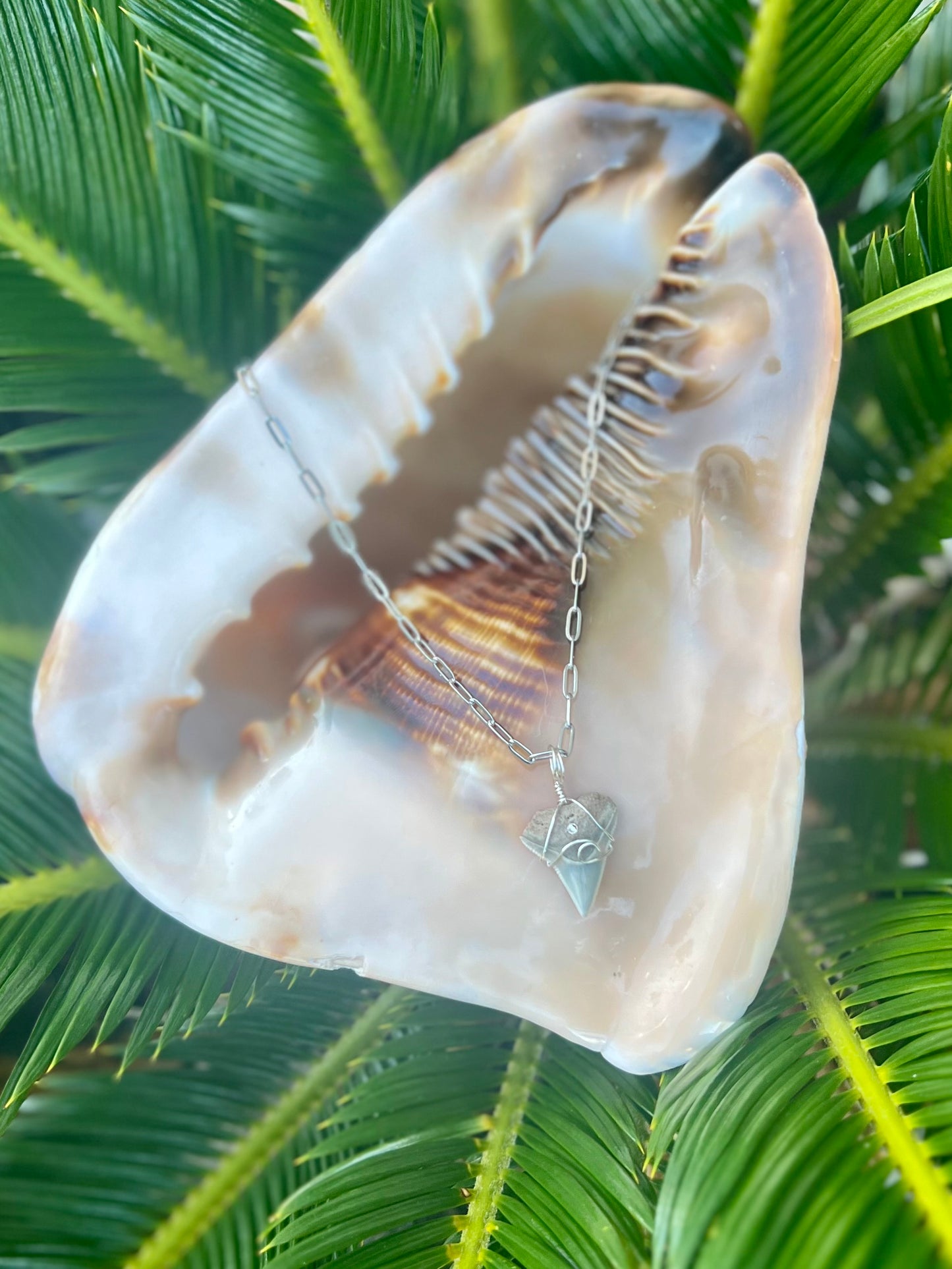 Coastal Dreams with dainty paperclip chain