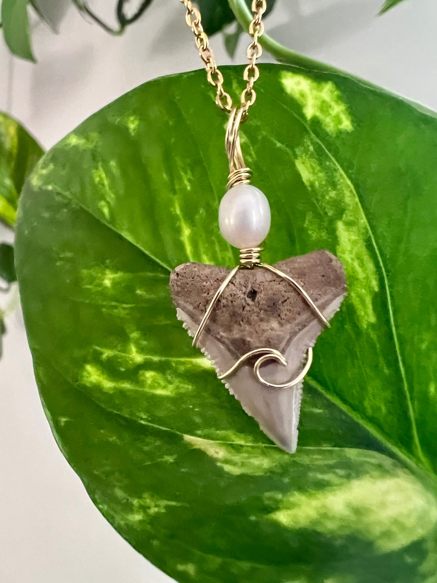 Sandy- Bull Shark tooth + Freshwater pearl + wave