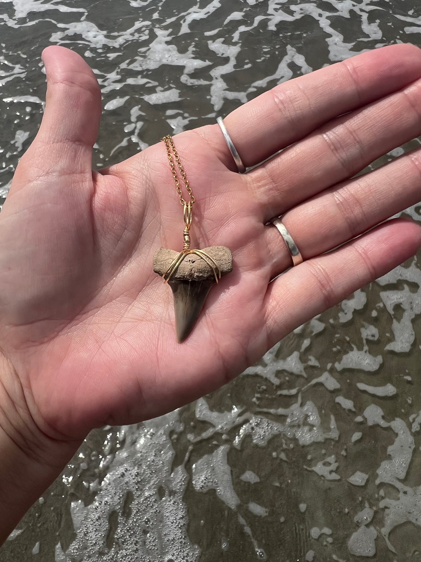 Mako Me Crazy - Shark Tooth Necklace
