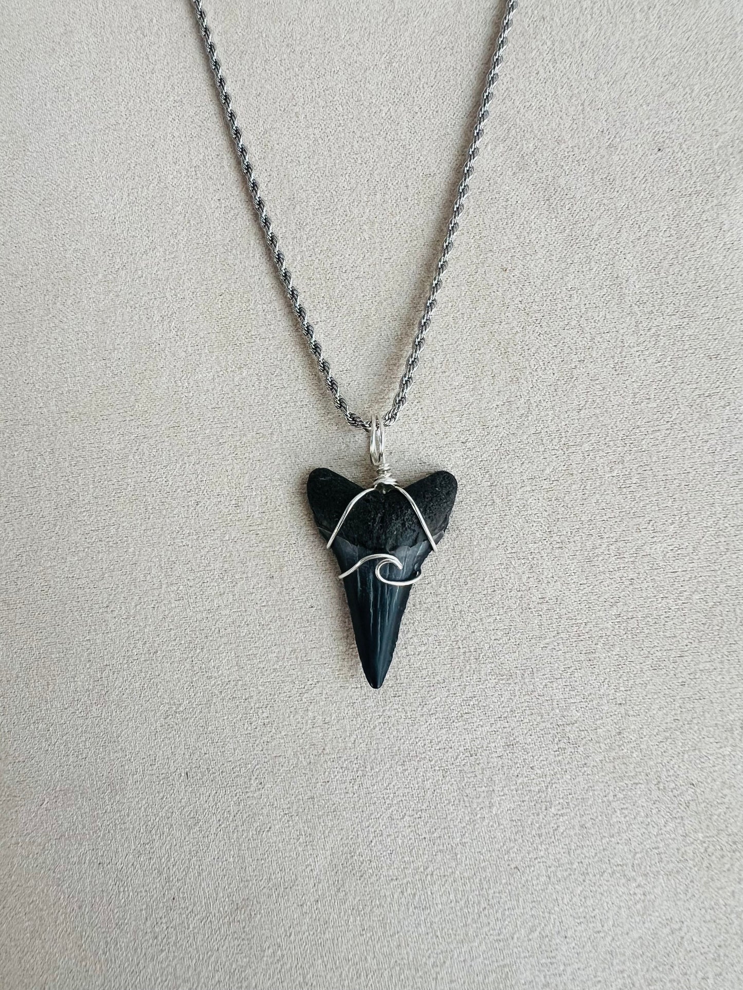 Making Waves -Lower Great White 1.3”