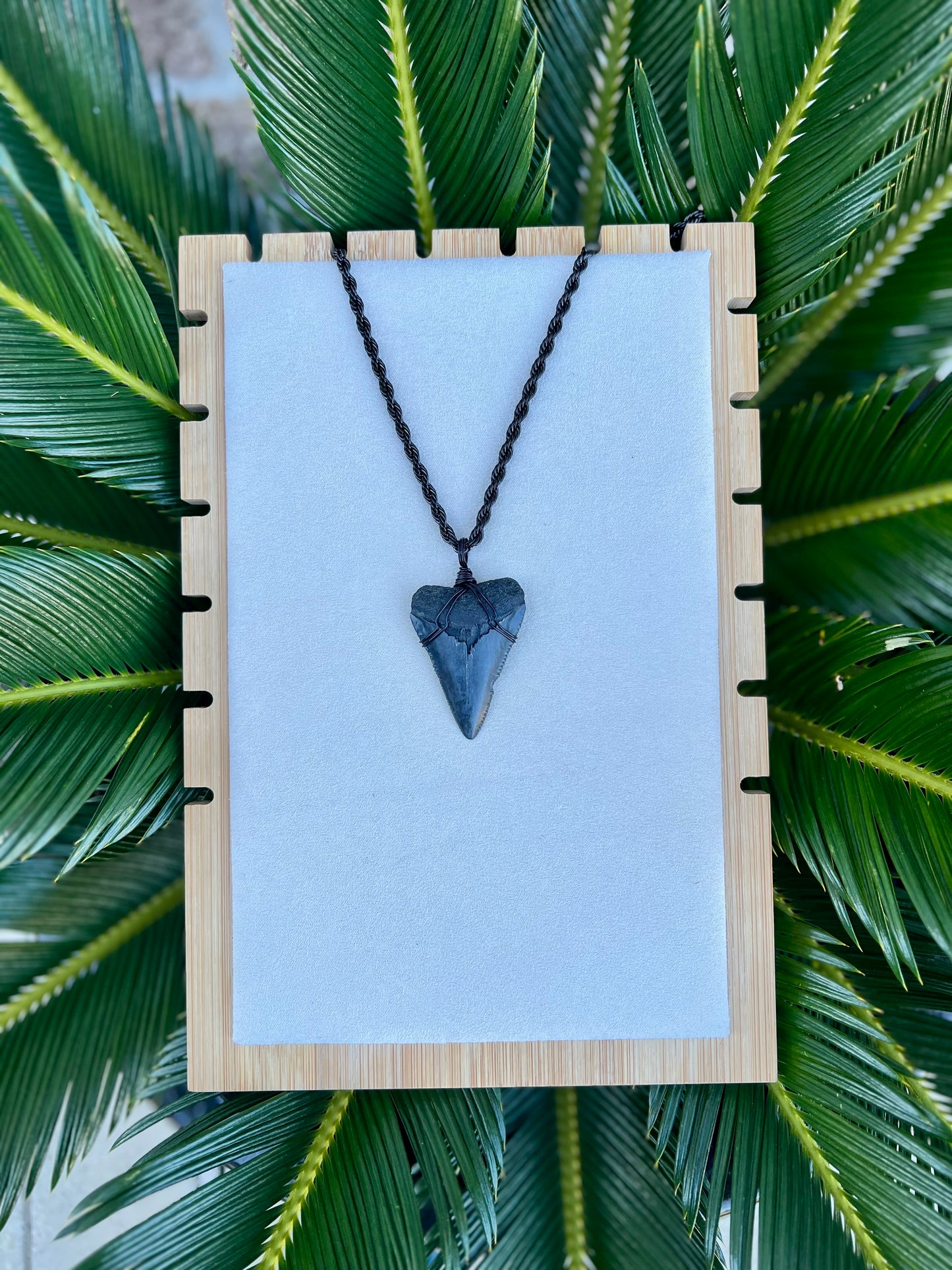 Jaws-1.9” Great White