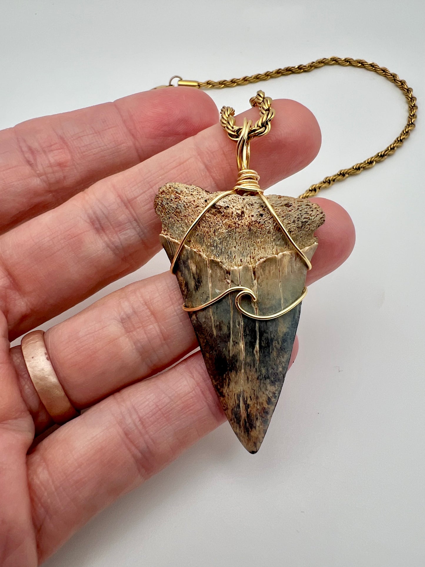 Unique 2” Hastalis with blue/tan shades and Gold Wave wrap