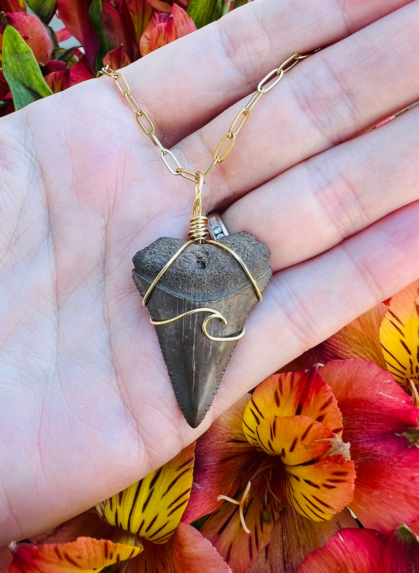 Chocolate Great White Shark Tooth Necklace- Gold