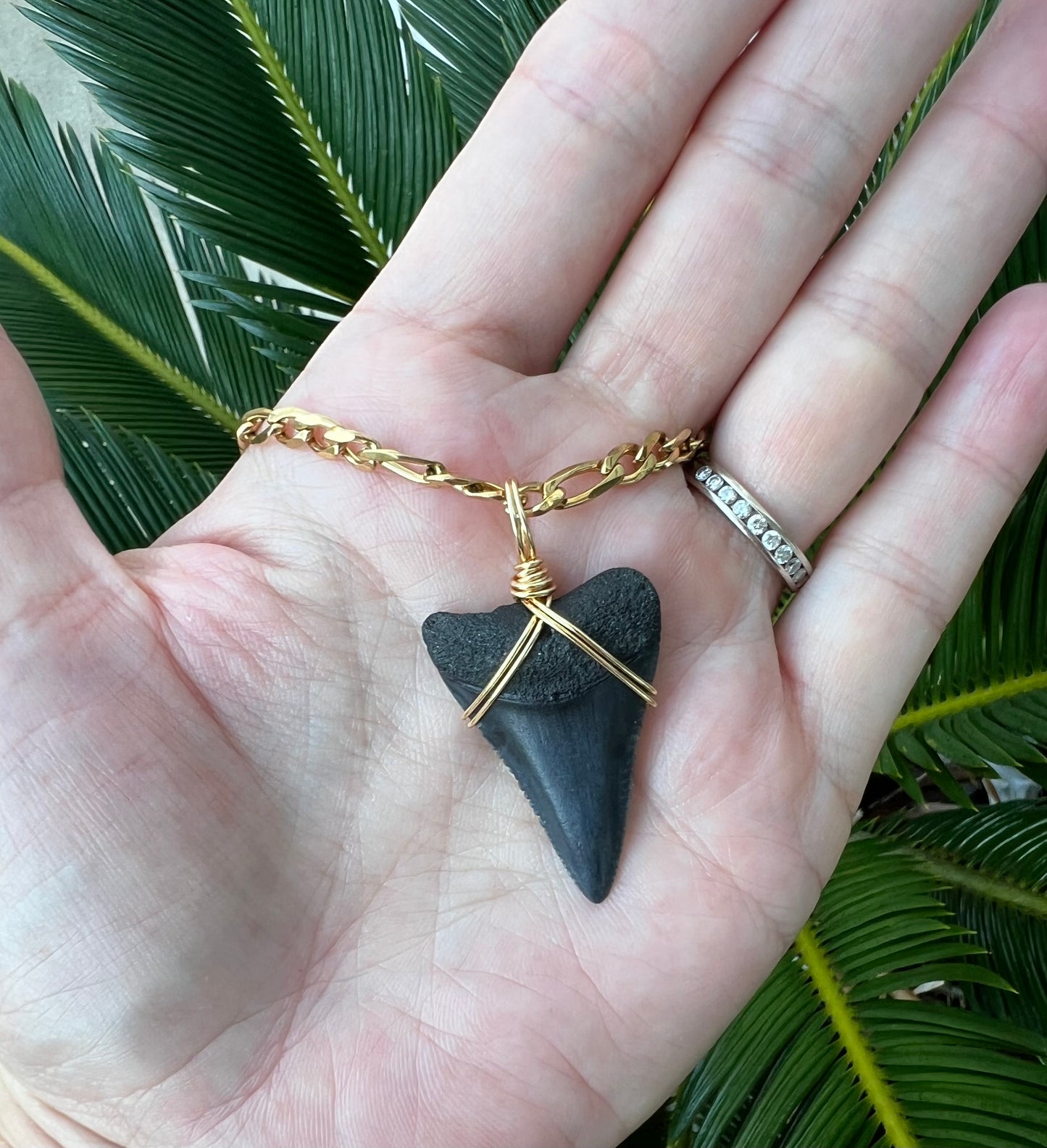 Ocean Master- 1.4” Great White