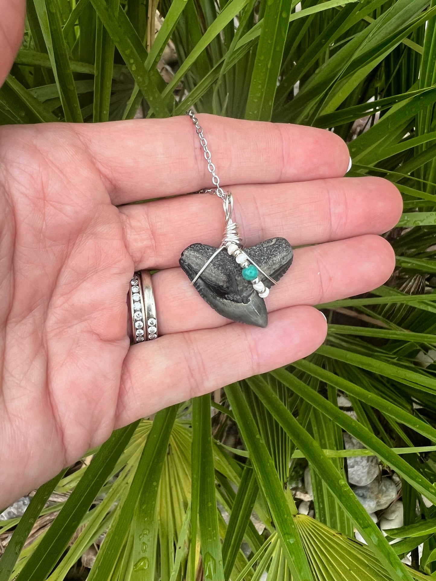Tiger Shark tooth necklace with freshwater pearls and genuine turquoise