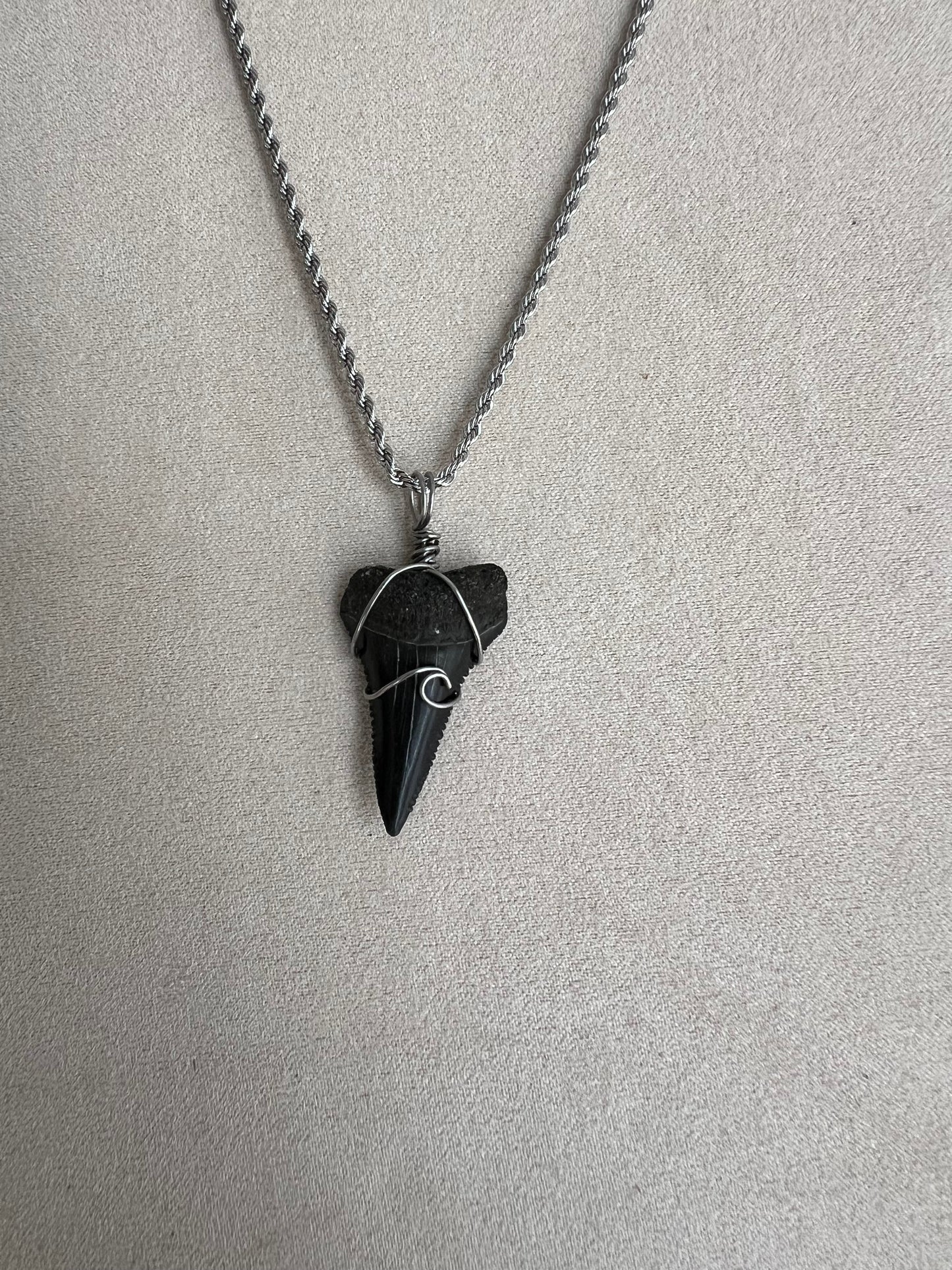 Making Waves- lower Great White 1.2”