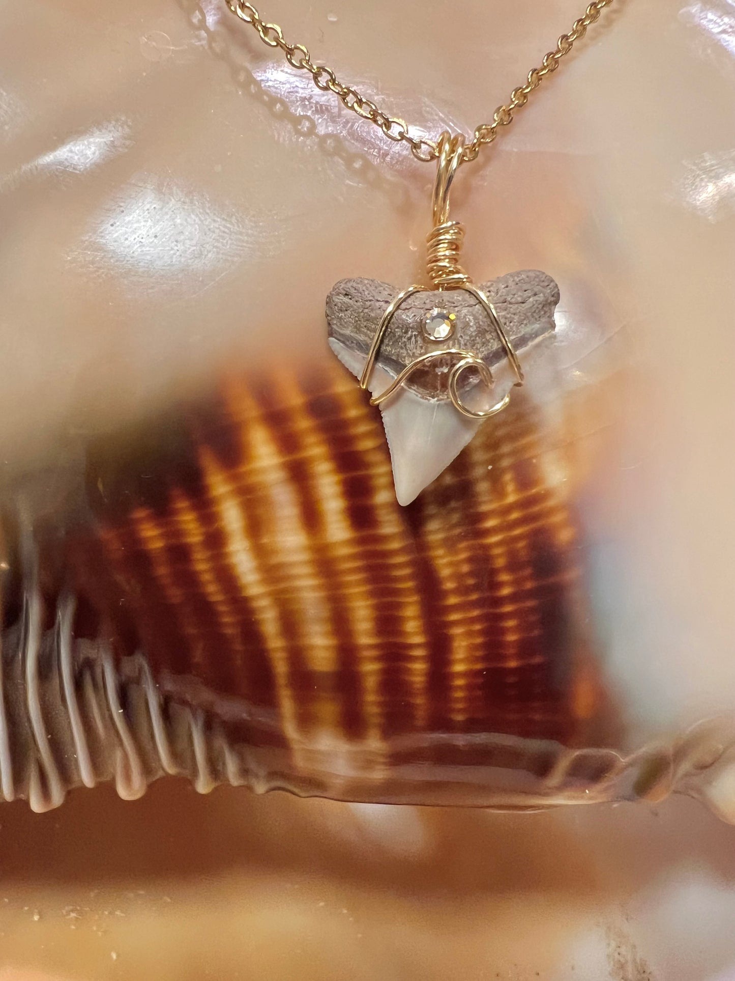 Coastal Dreams- Bull Shark Tooth + Crystal + Wave Design