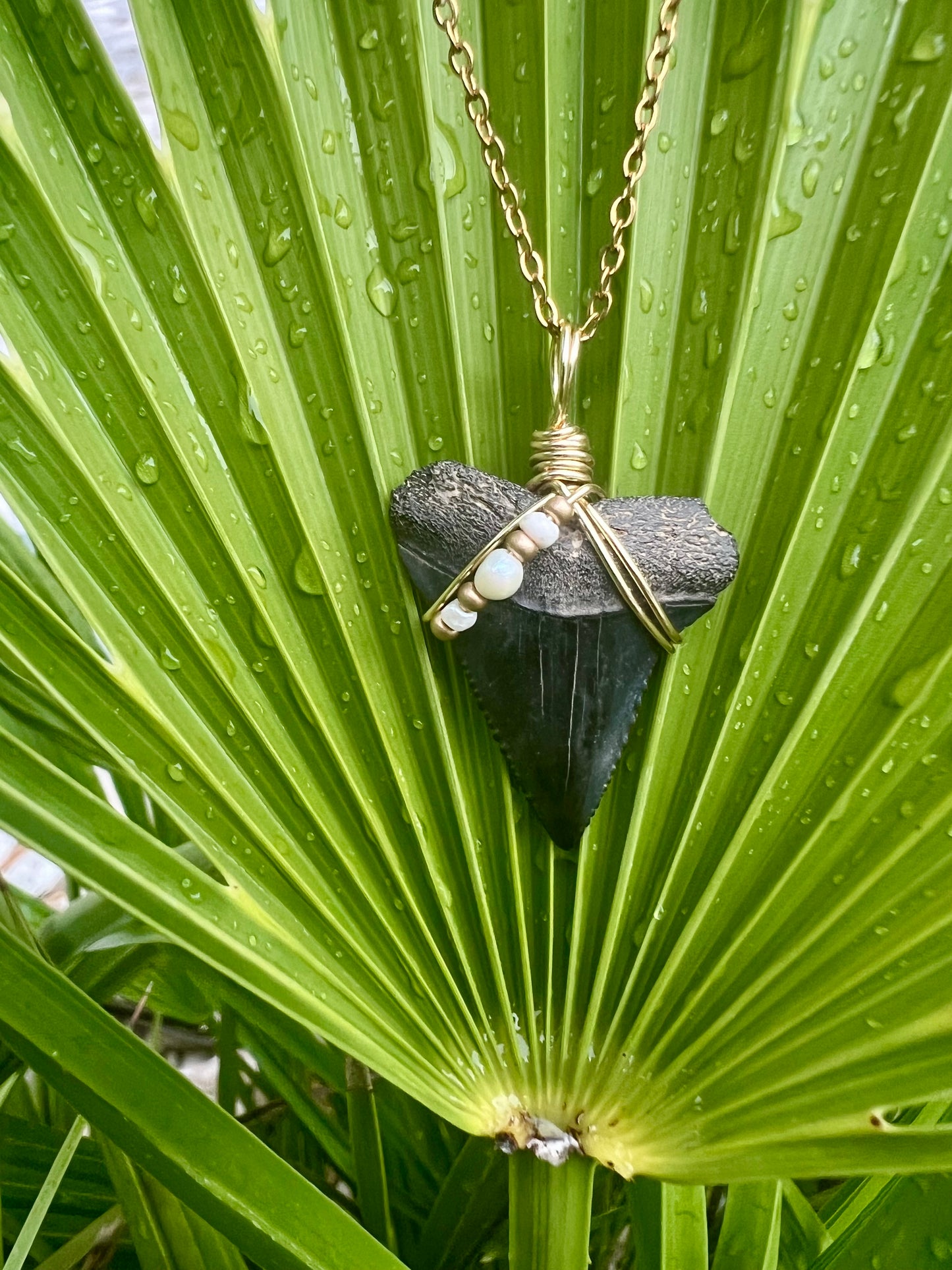 Great White Shark tooth necklace with freshwater pearls