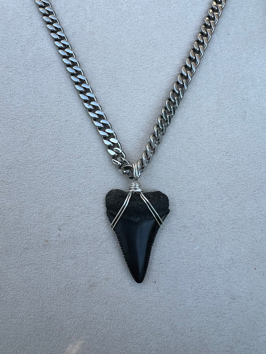 Ocean Master- 1.5” Great White