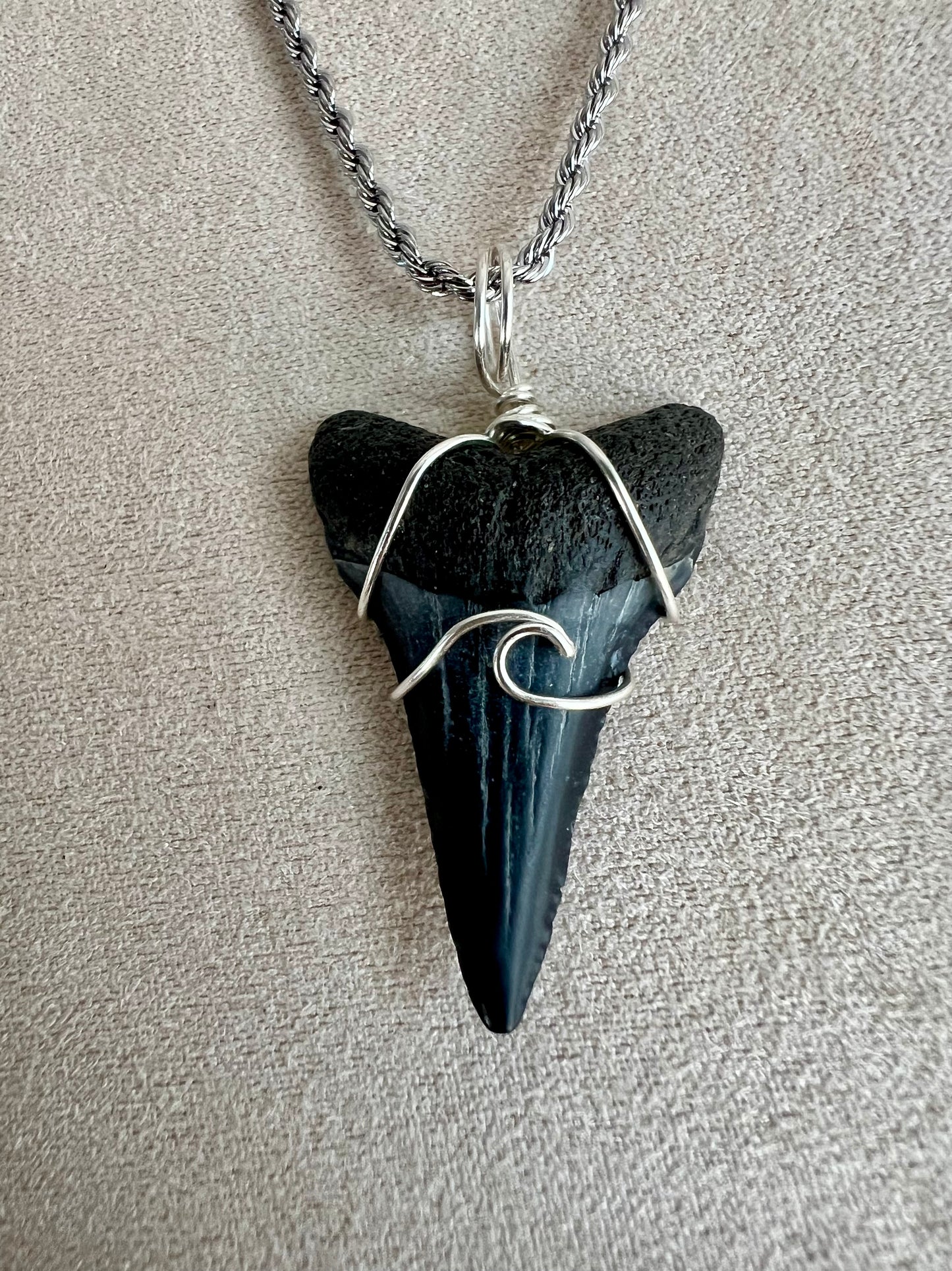 Making Waves -Lower Great White 1.3”