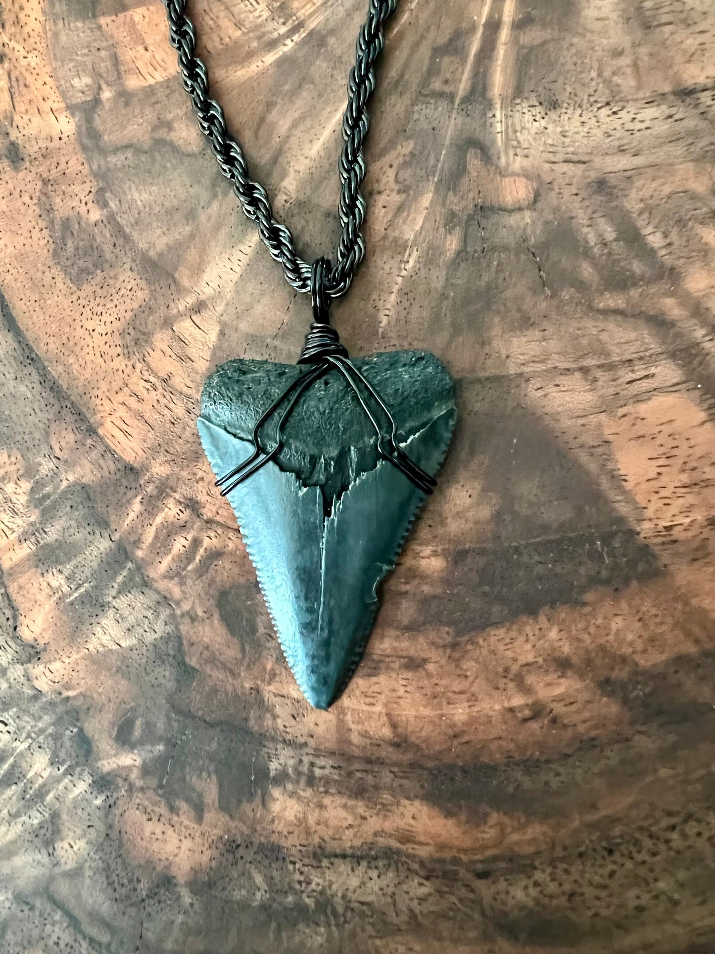 Jaws-1.9” Great White