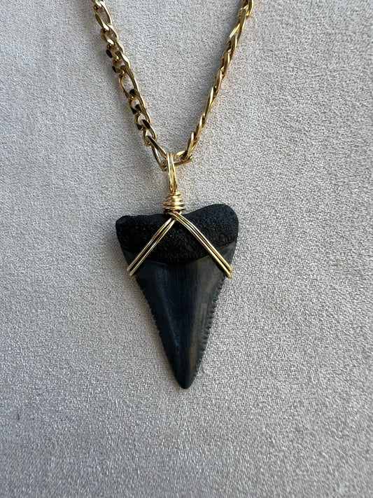 Ocean Master- 1.4” Great White