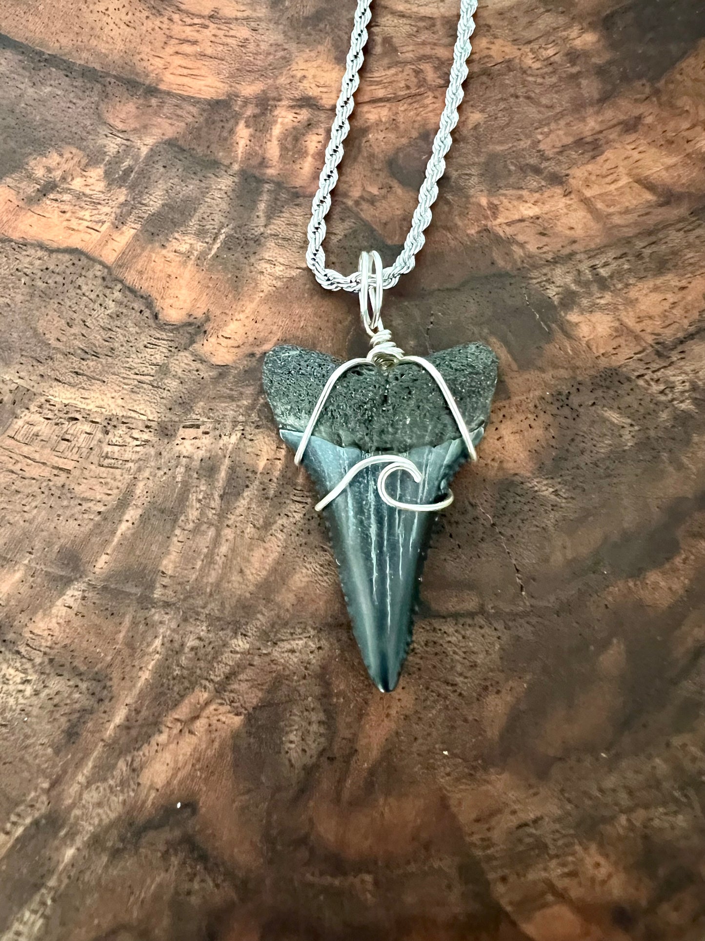 Making Waves -Lower Great White 1.3”