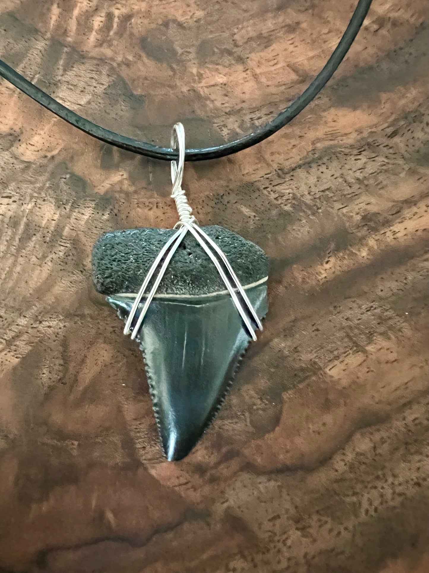 Ocean Master- 1.4” Great White