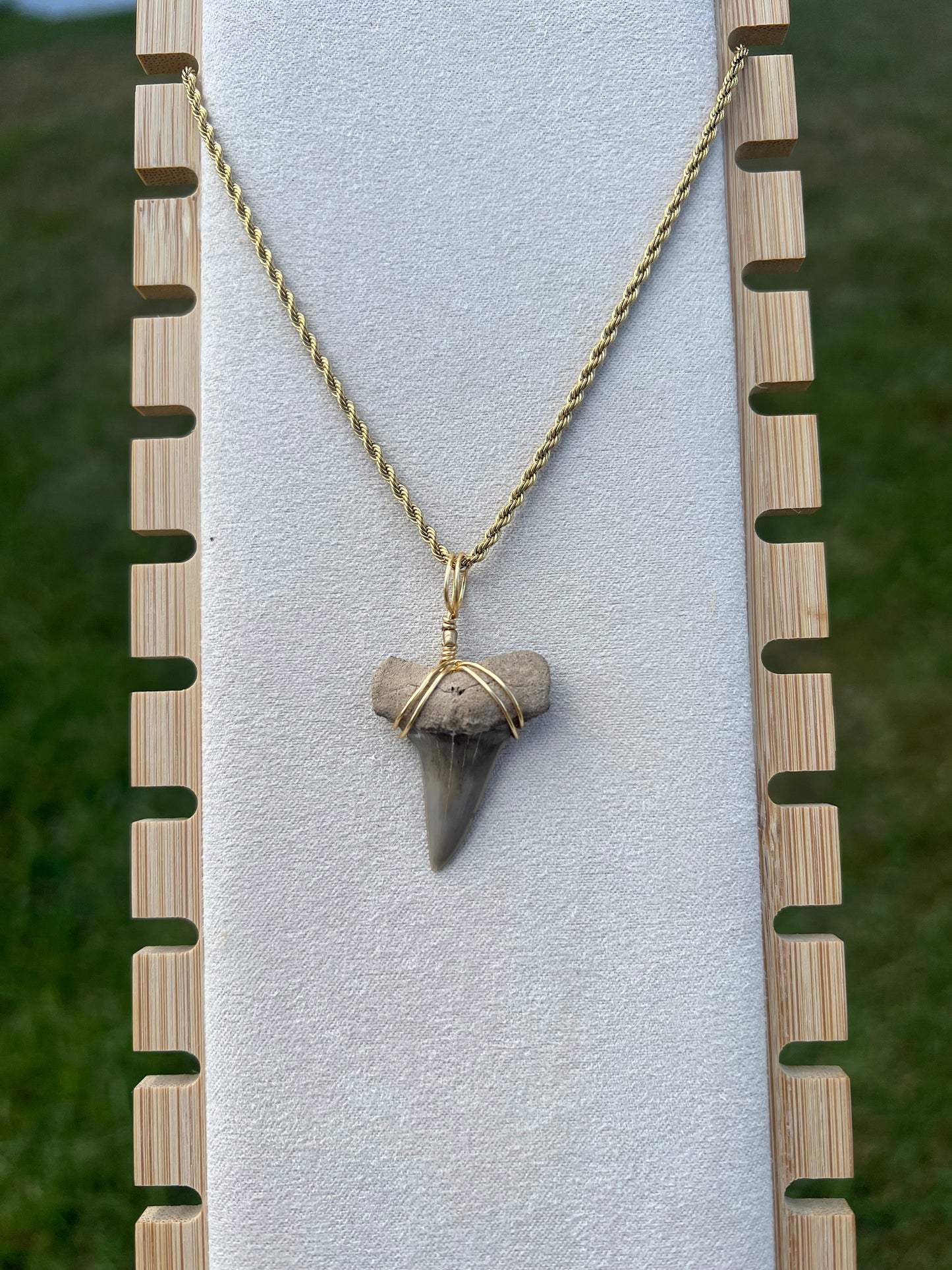 Mako Me Crazy - Shark Tooth Necklace