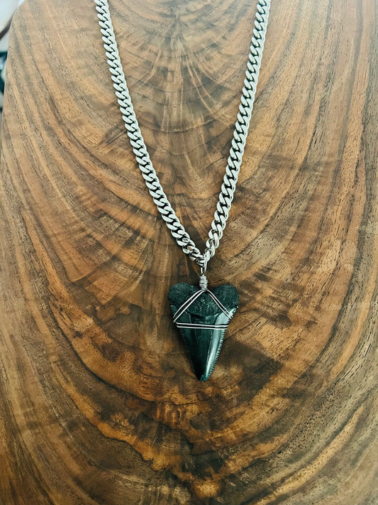 Jaws- Huge 2” Great White