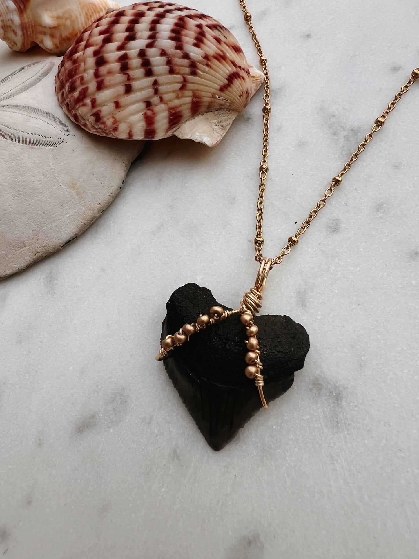 Gold pebble- crow shark necklace