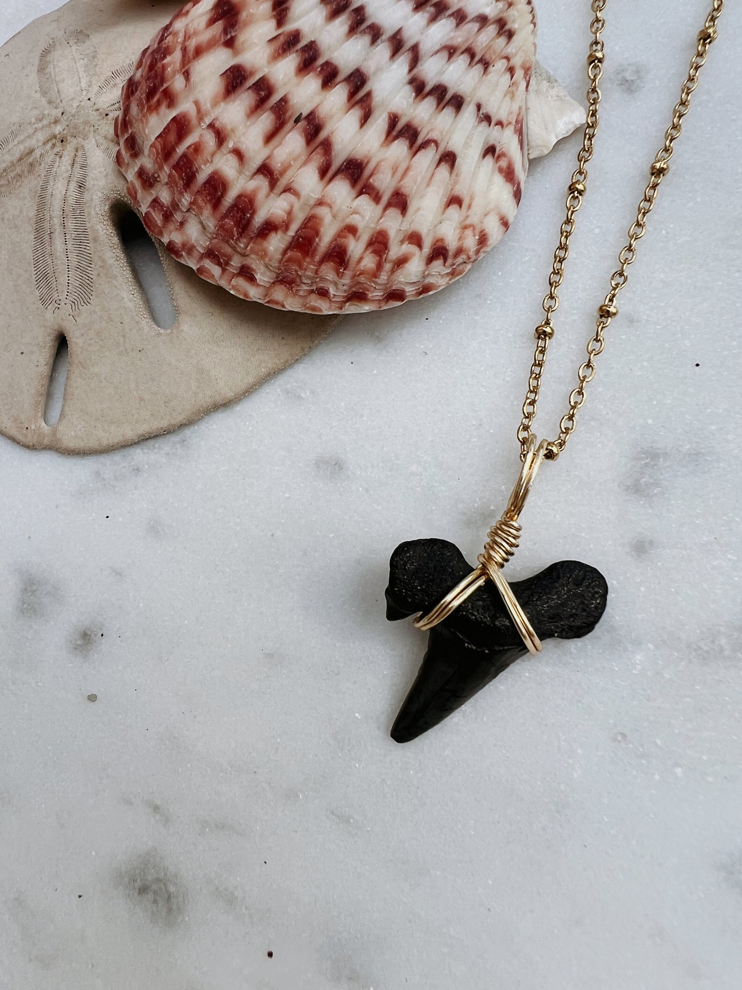 Holy Mackerel Shark Tooth Necklace