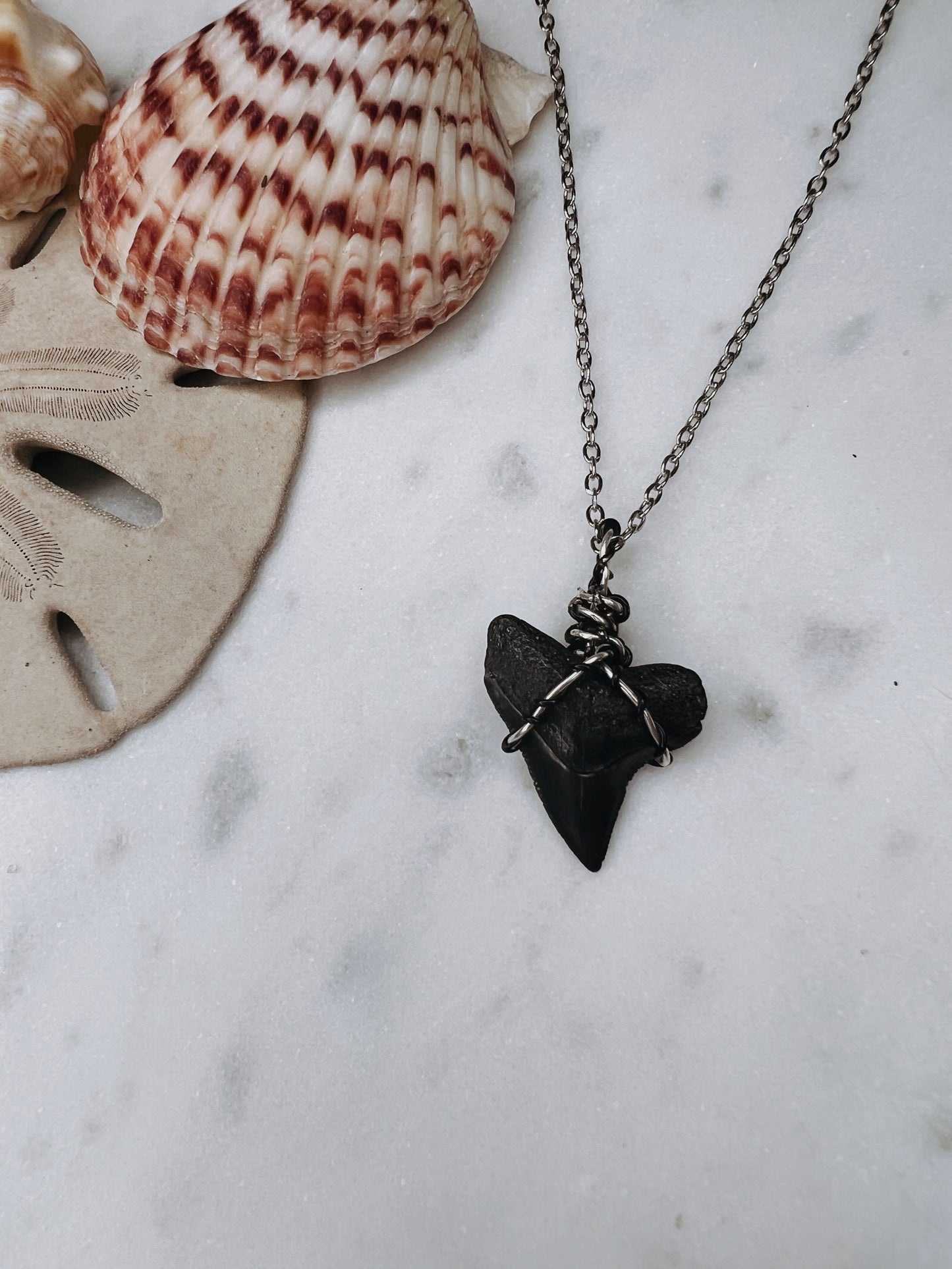 Knotty- Bull Shark Tooth with Unique Wire Wrap