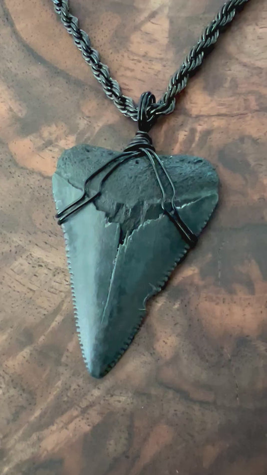 Jaws-1.9” Great White