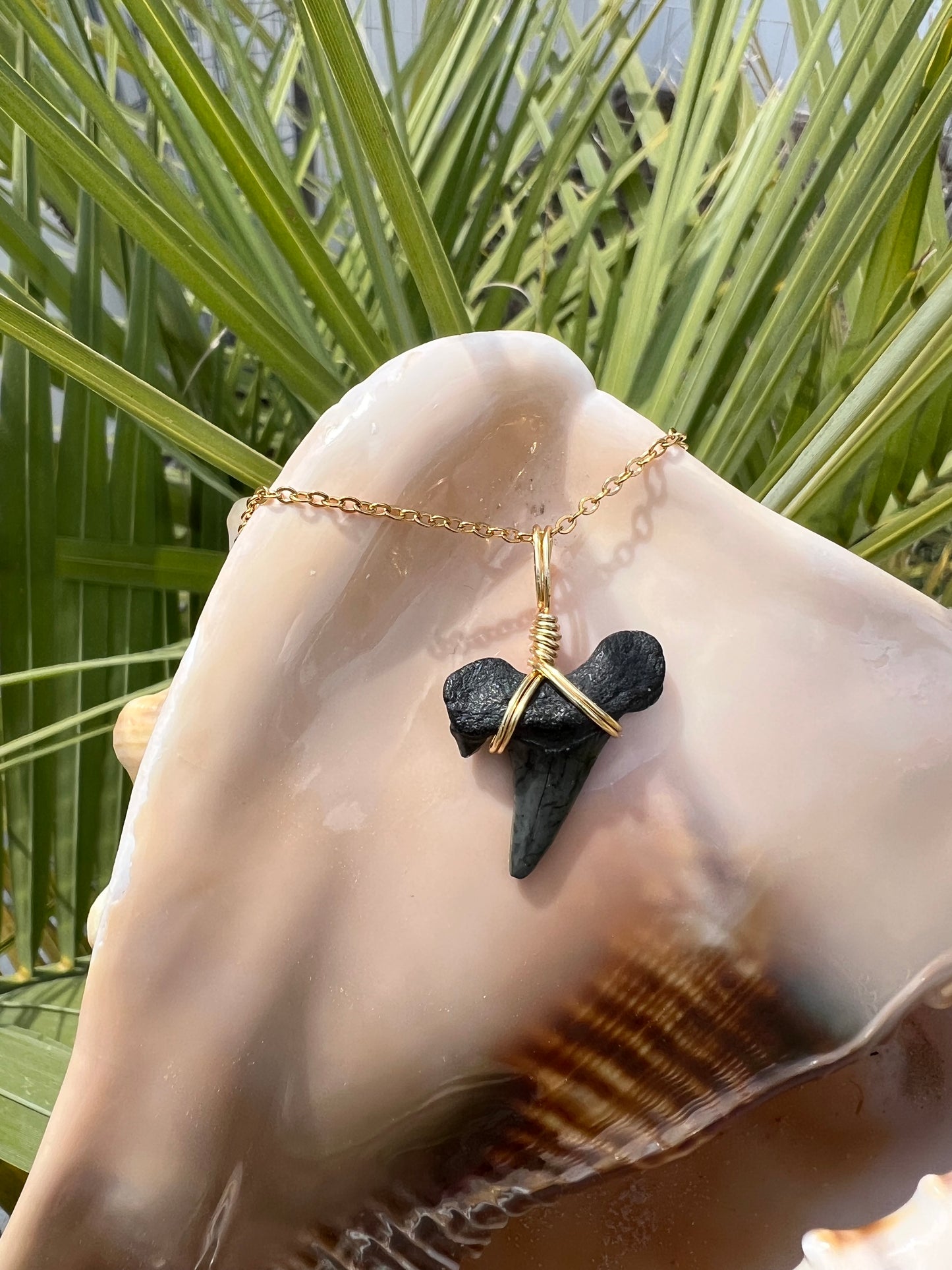 Holy Mackerel Shark Tooth Necklace