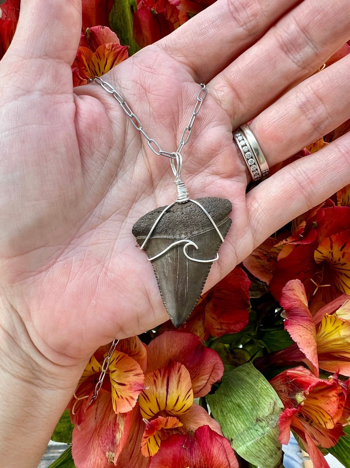 Chocolate Great White Shark Tooth Necklace- Silver