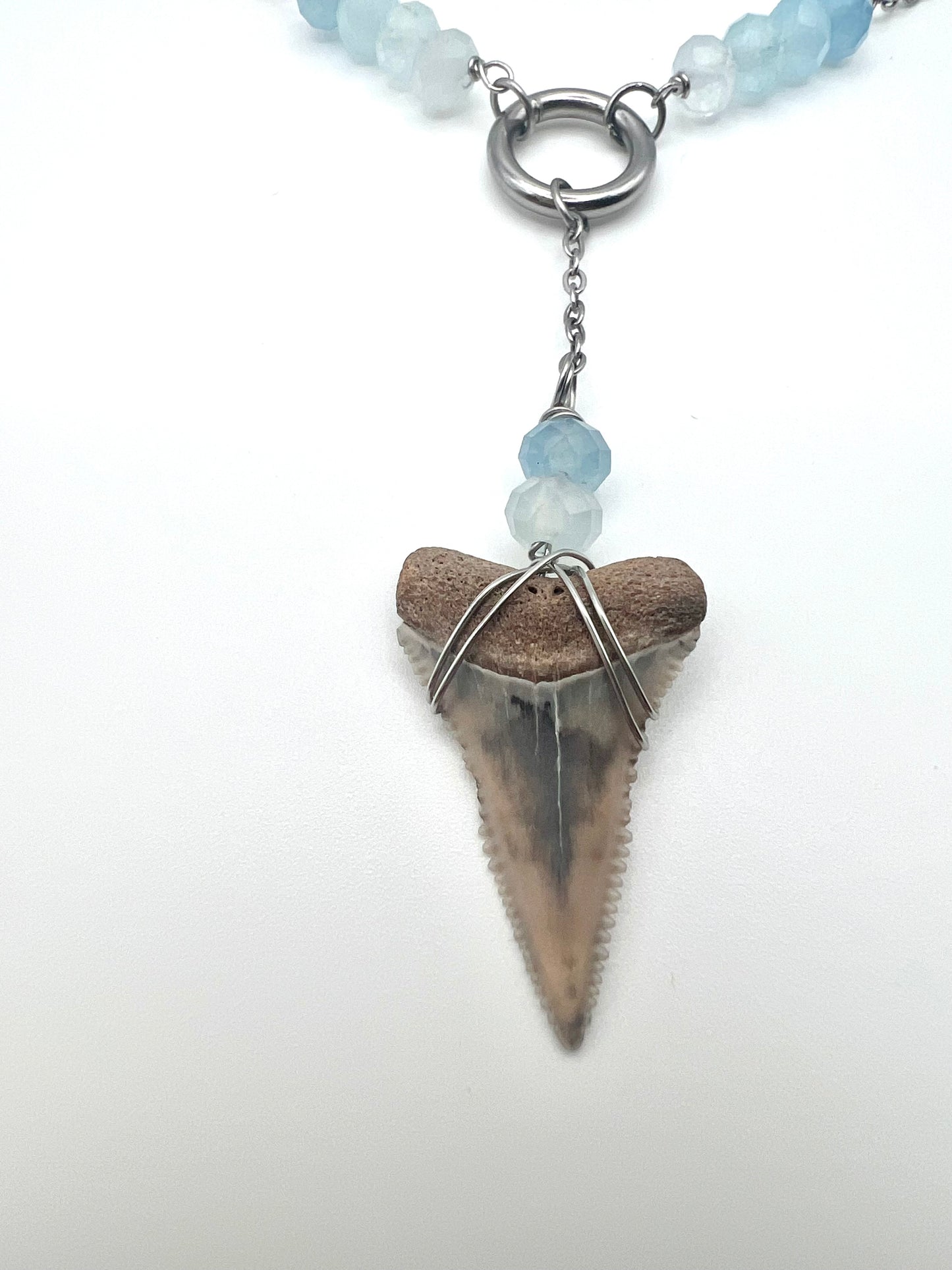 Aquamarine + Cream Great White Shark tooth necklace