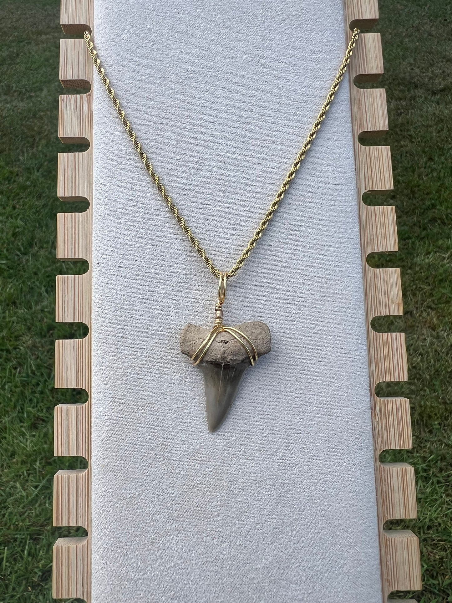 Mako Me Crazy - Shark Tooth Necklace