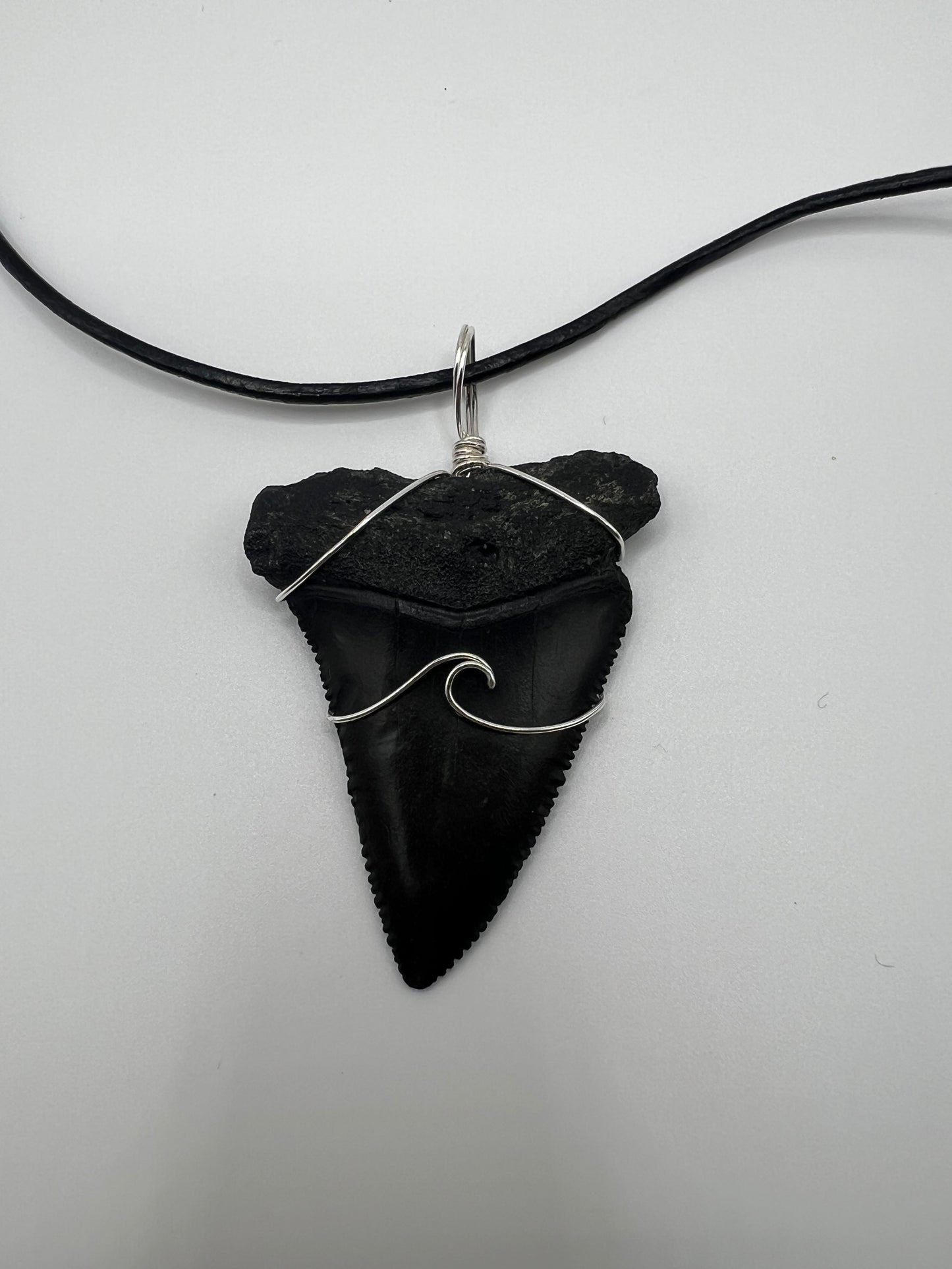 2.1” Huge Fossilized Great White Shark Tooth Necklace
