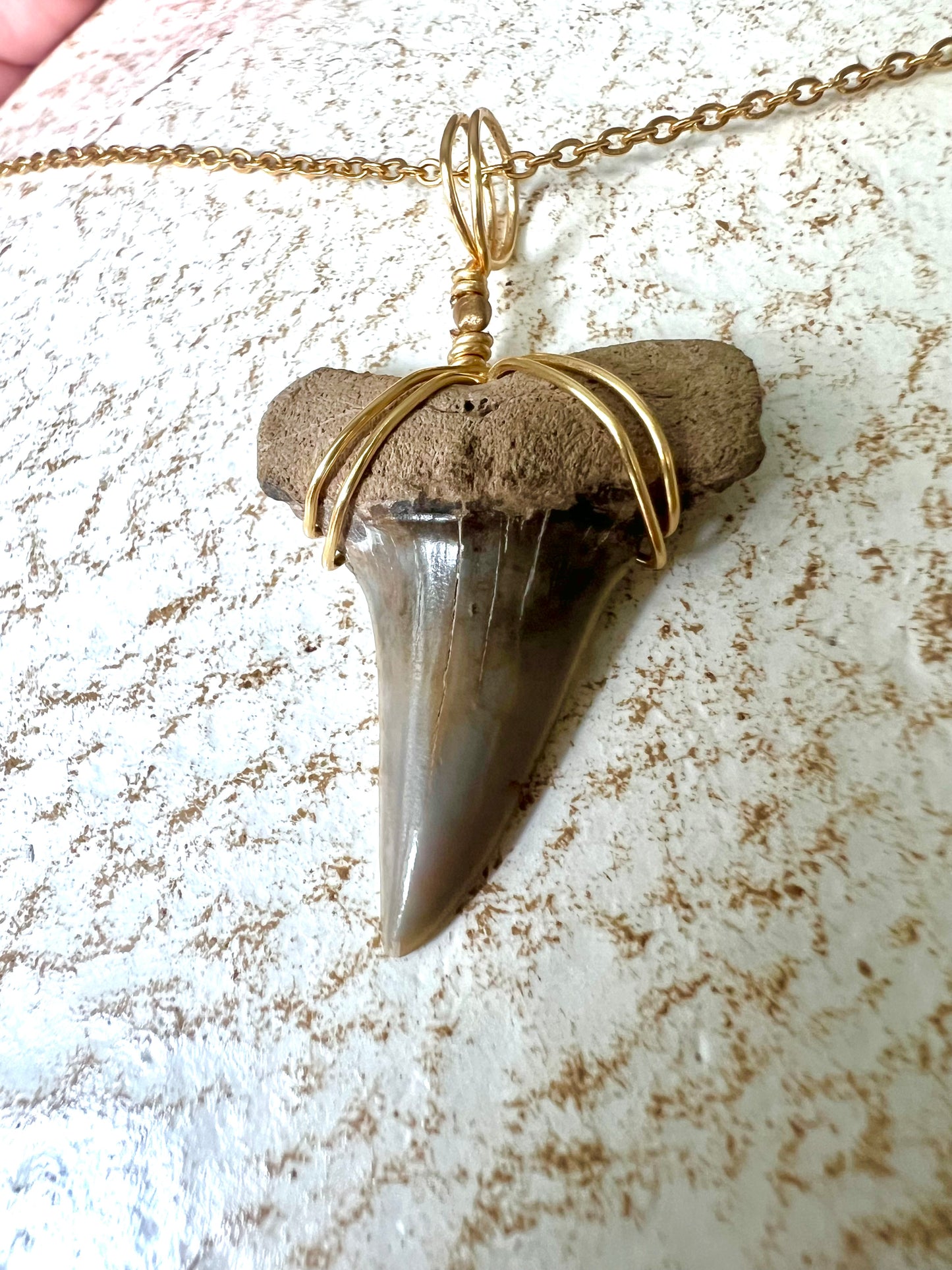 Mako Me Crazy - Shark Tooth Necklace