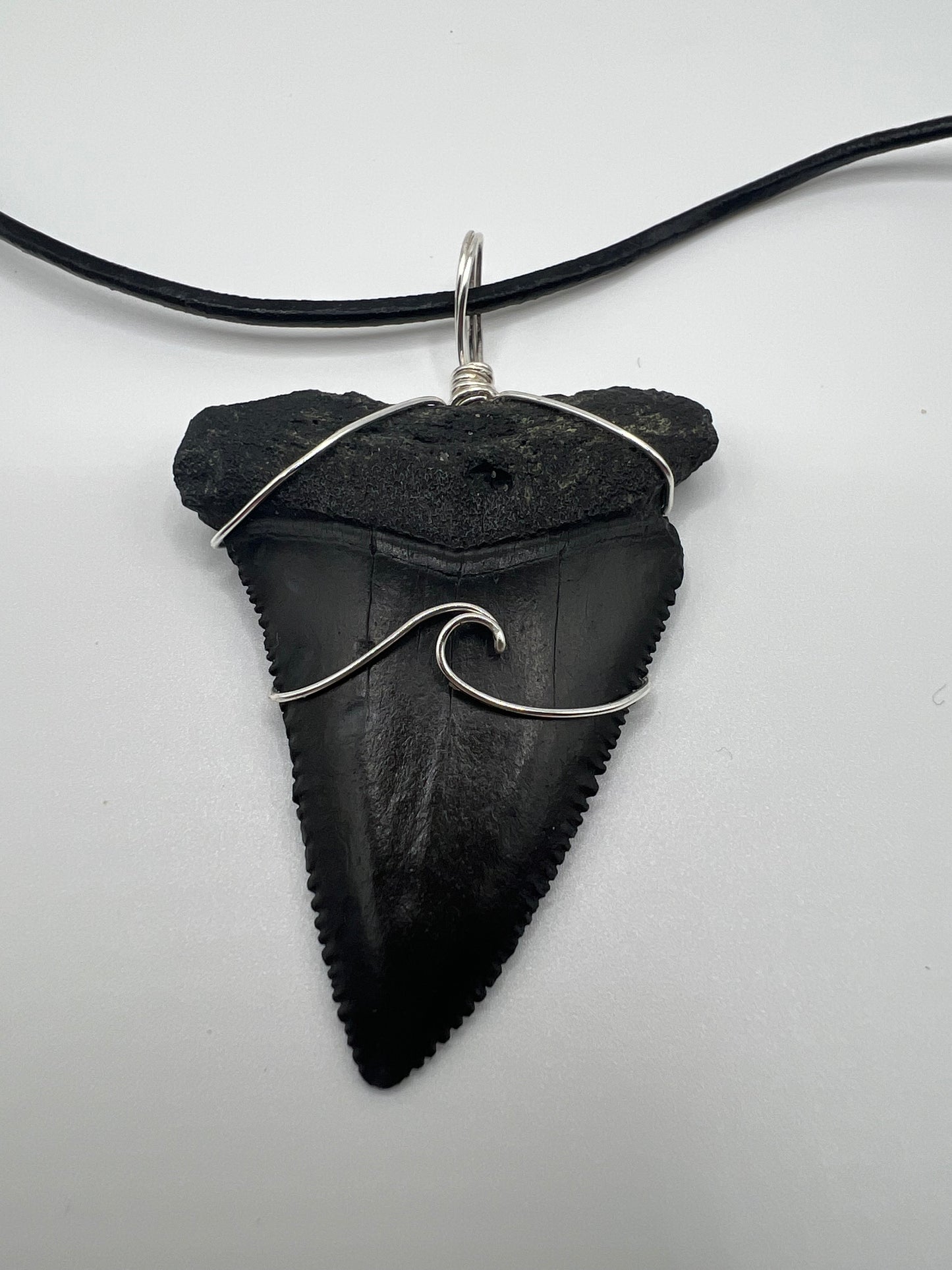 2.1” Huge Fossilized Great White Shark Tooth Necklace