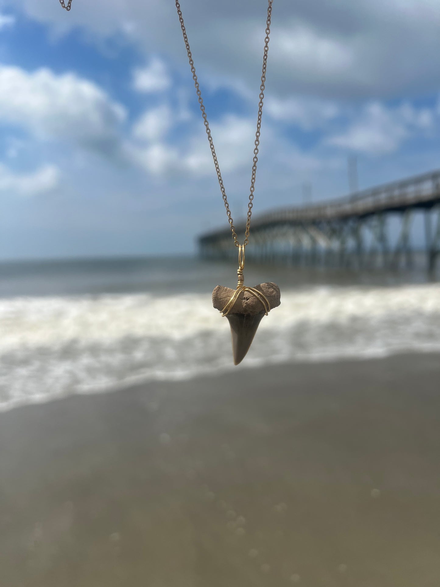 Mako Me Crazy - Shark Tooth Necklace