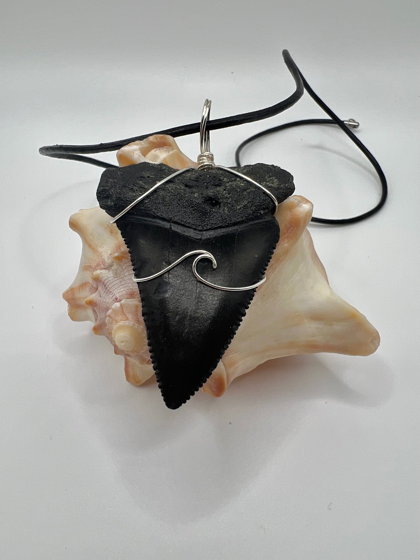 2.1” Huge Fossilized Great White Shark Tooth Necklace