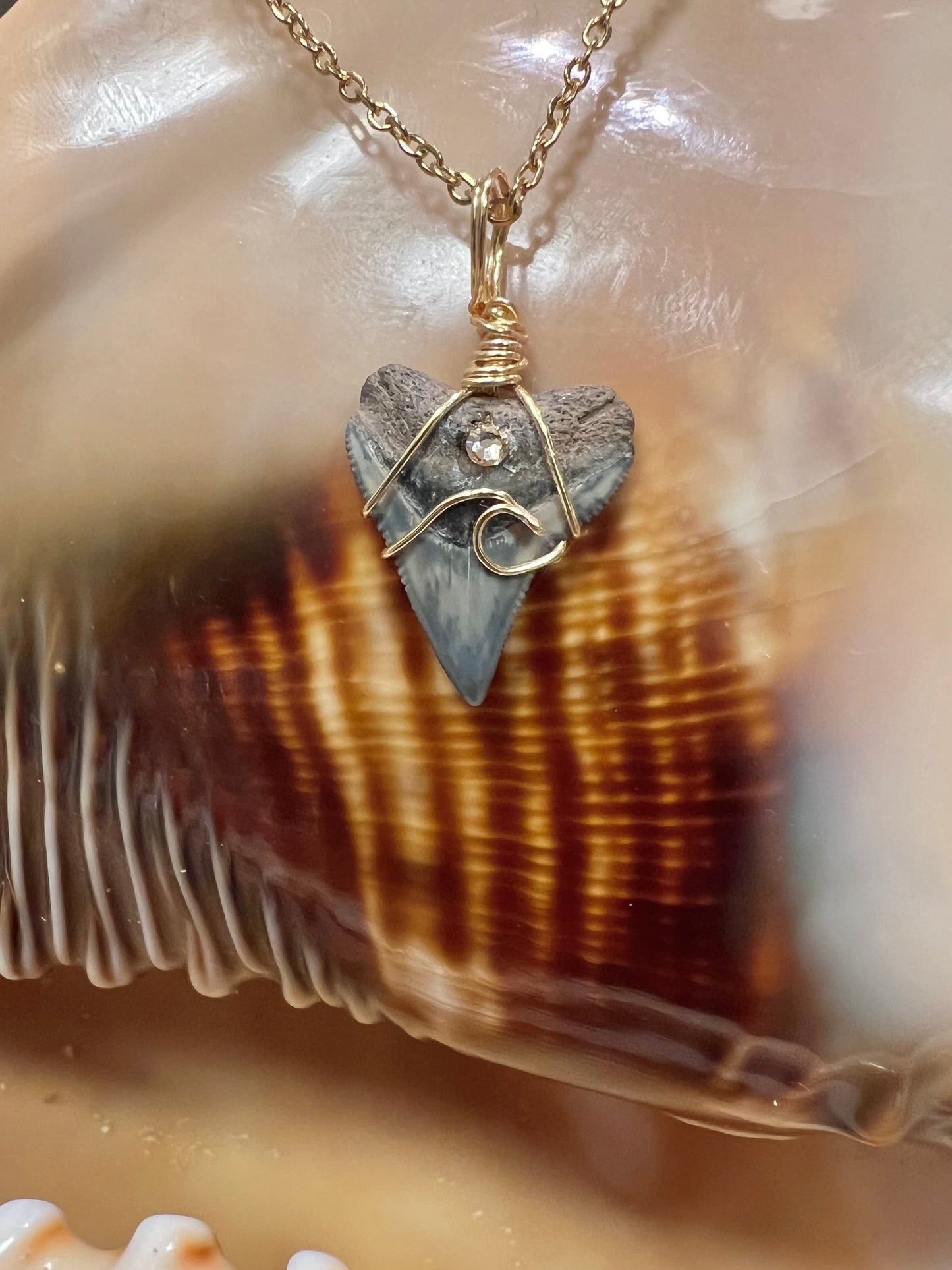 Coastal Dreams- Bull Shark Tooth + Crystal + Wave Design