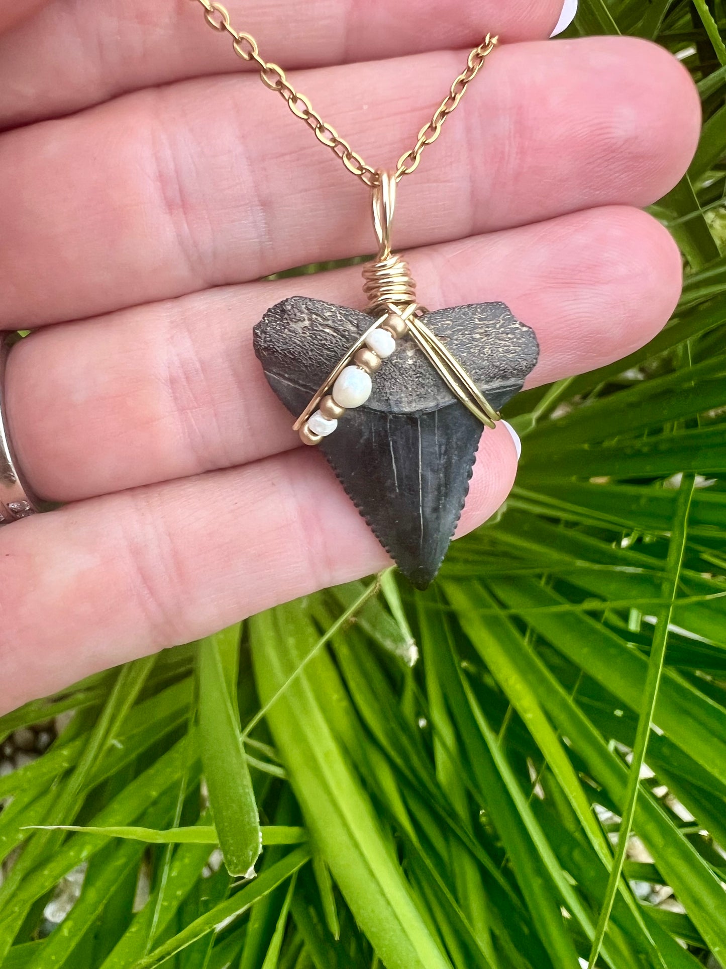 Great White Shark tooth necklace with freshwater pearls