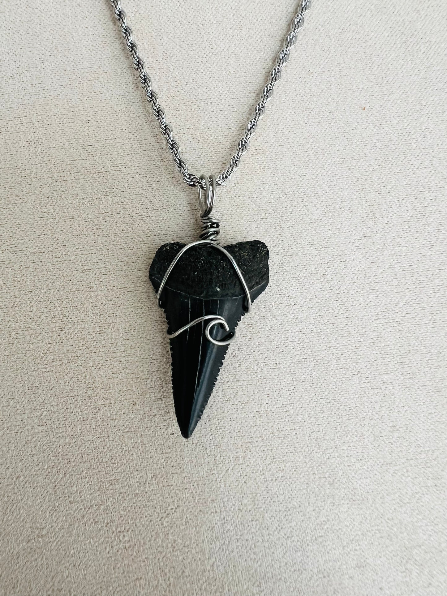 Making Waves- lower Great White 1.2”