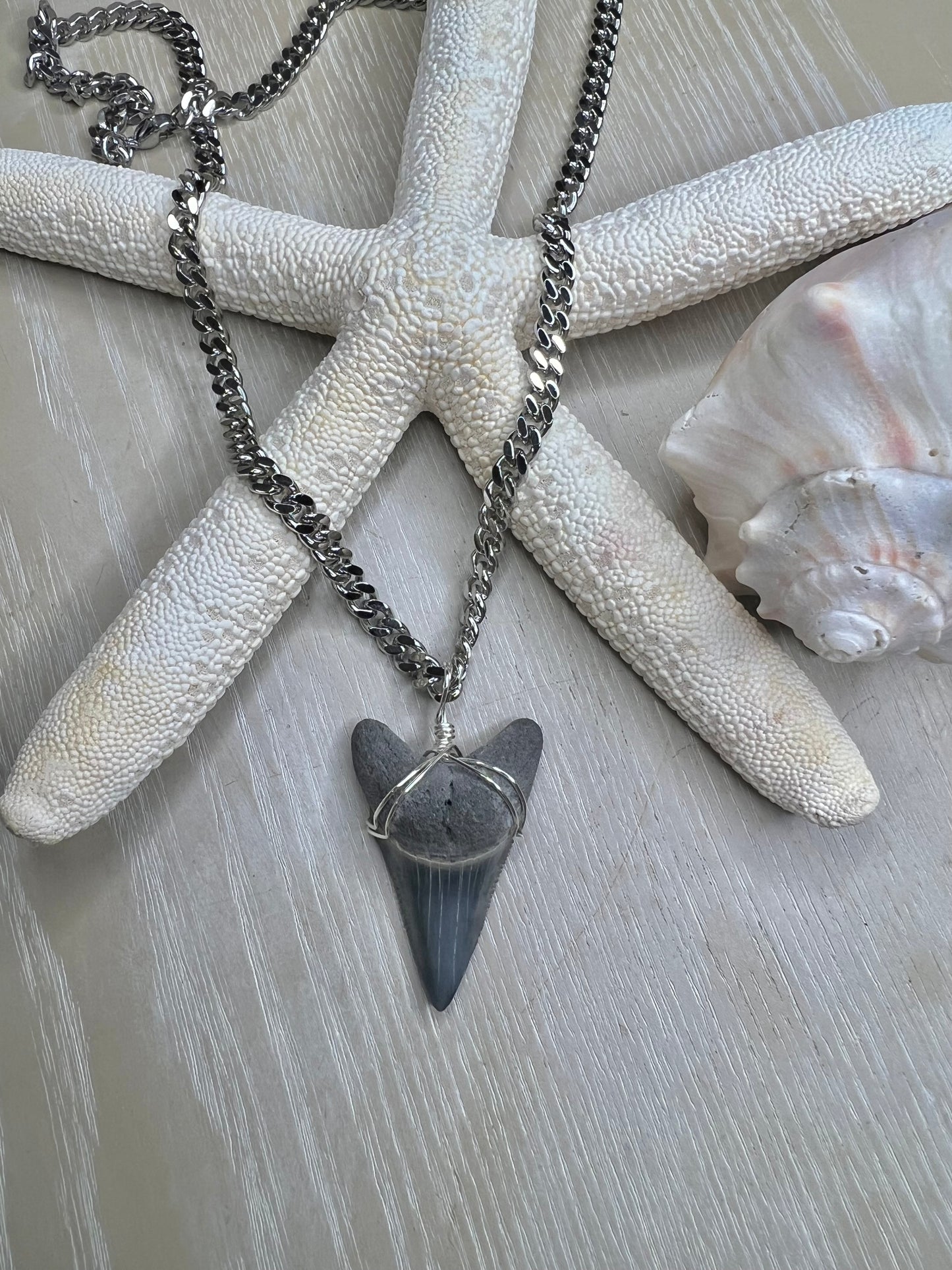 1.7” Rare Lower Great White