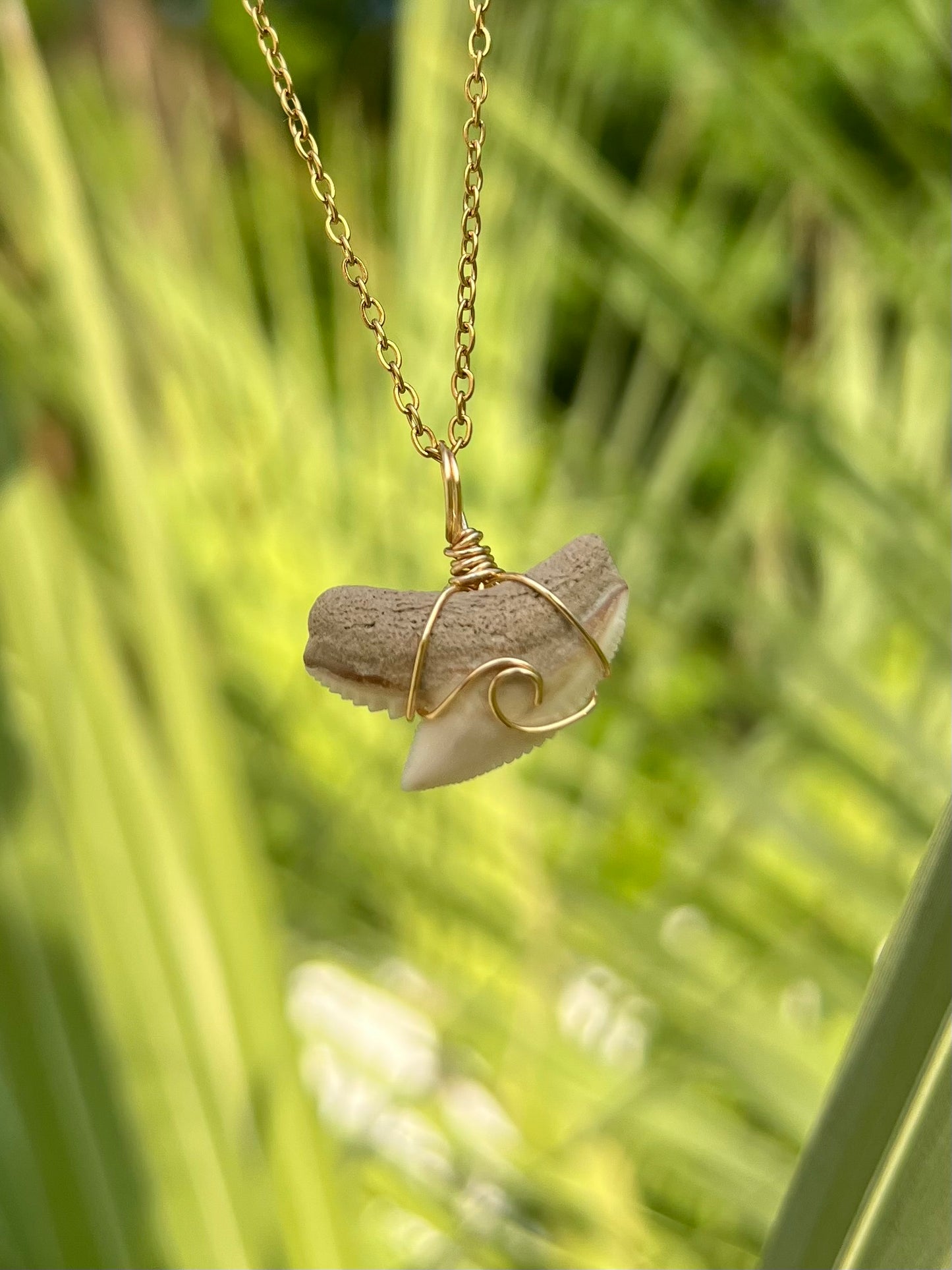 Carolina Cream Tiger Shark Tooth with Wave Design Necklace