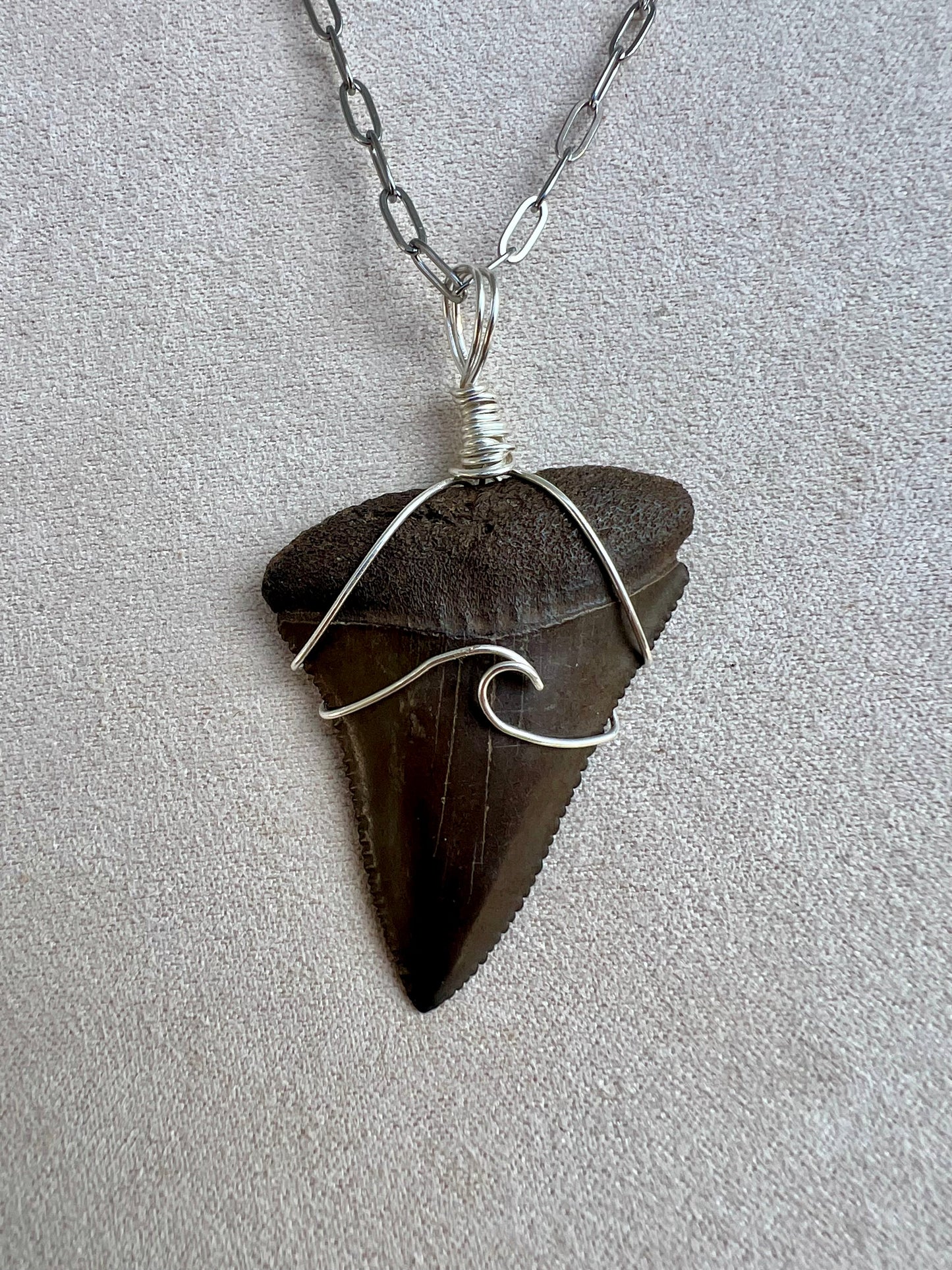 Chocolate Great White Shark Tooth Necklace- Silver