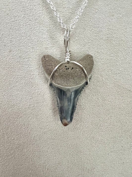 Lower Great White 1.2”