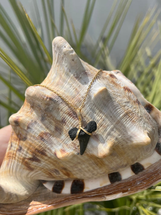 Holy Mackerel Shark Tooth Necklace