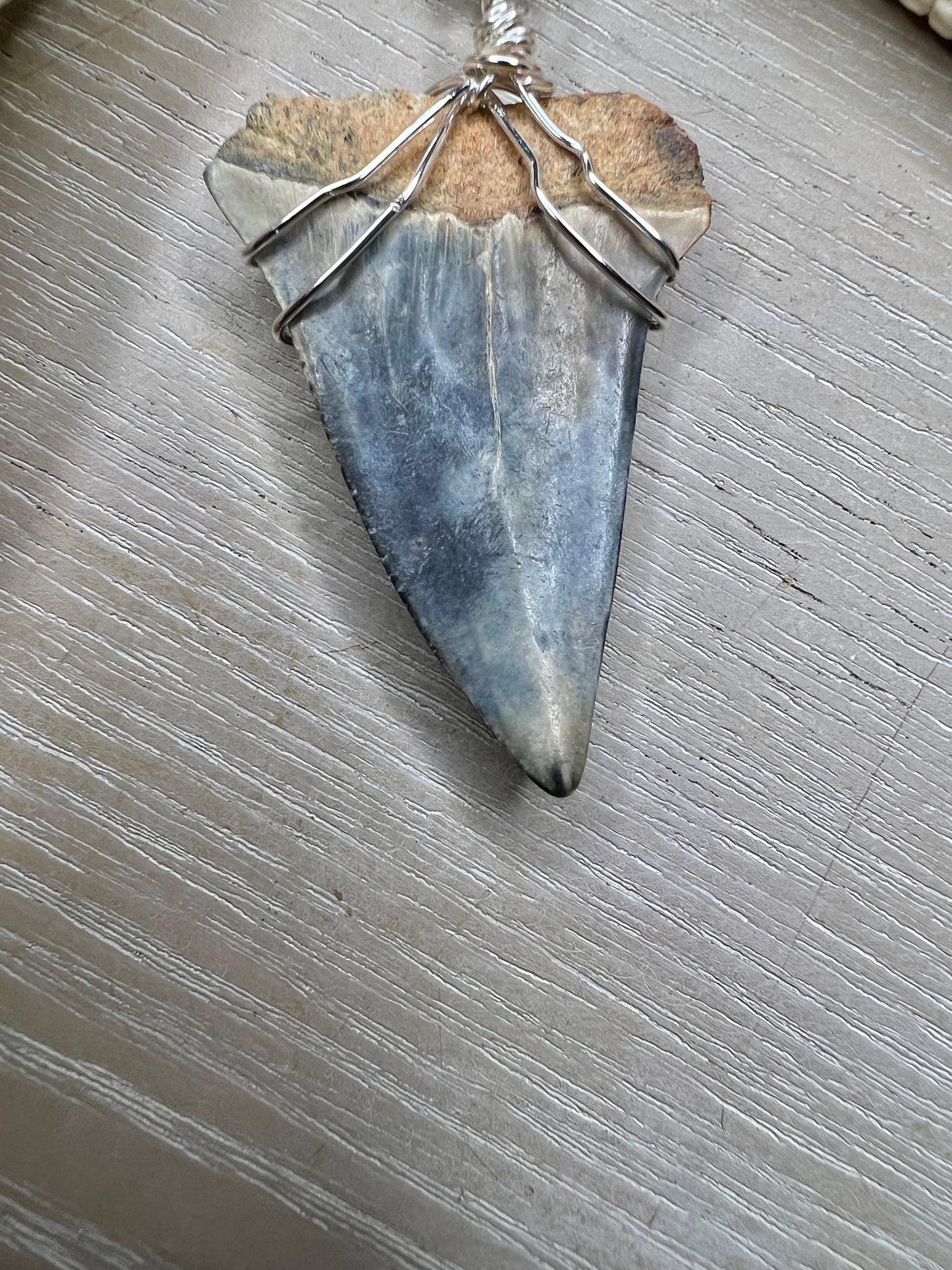 1.7” Icy Blue Mako